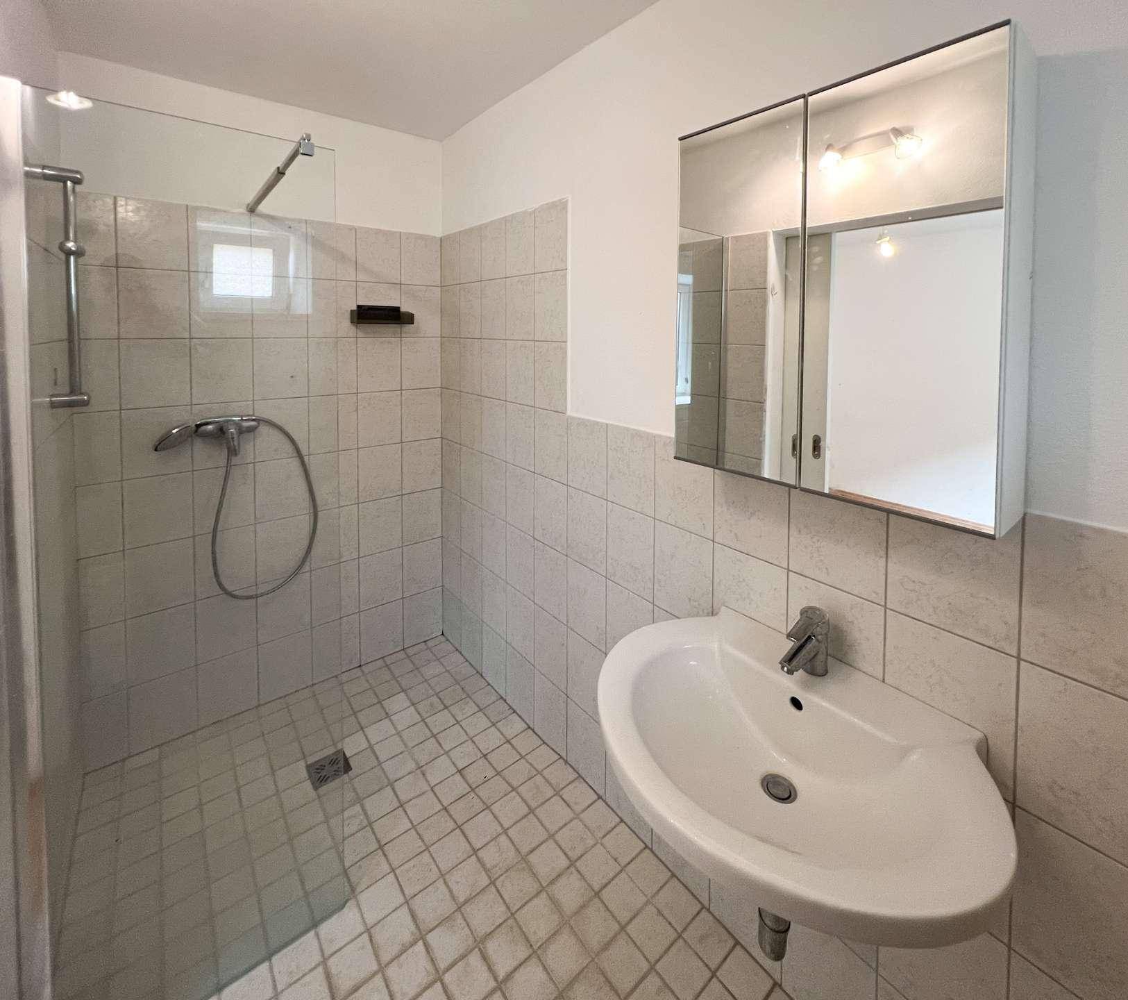 Modernes Badezimmer mit Duschbereich, Waschbecken und Spiegelschrank.