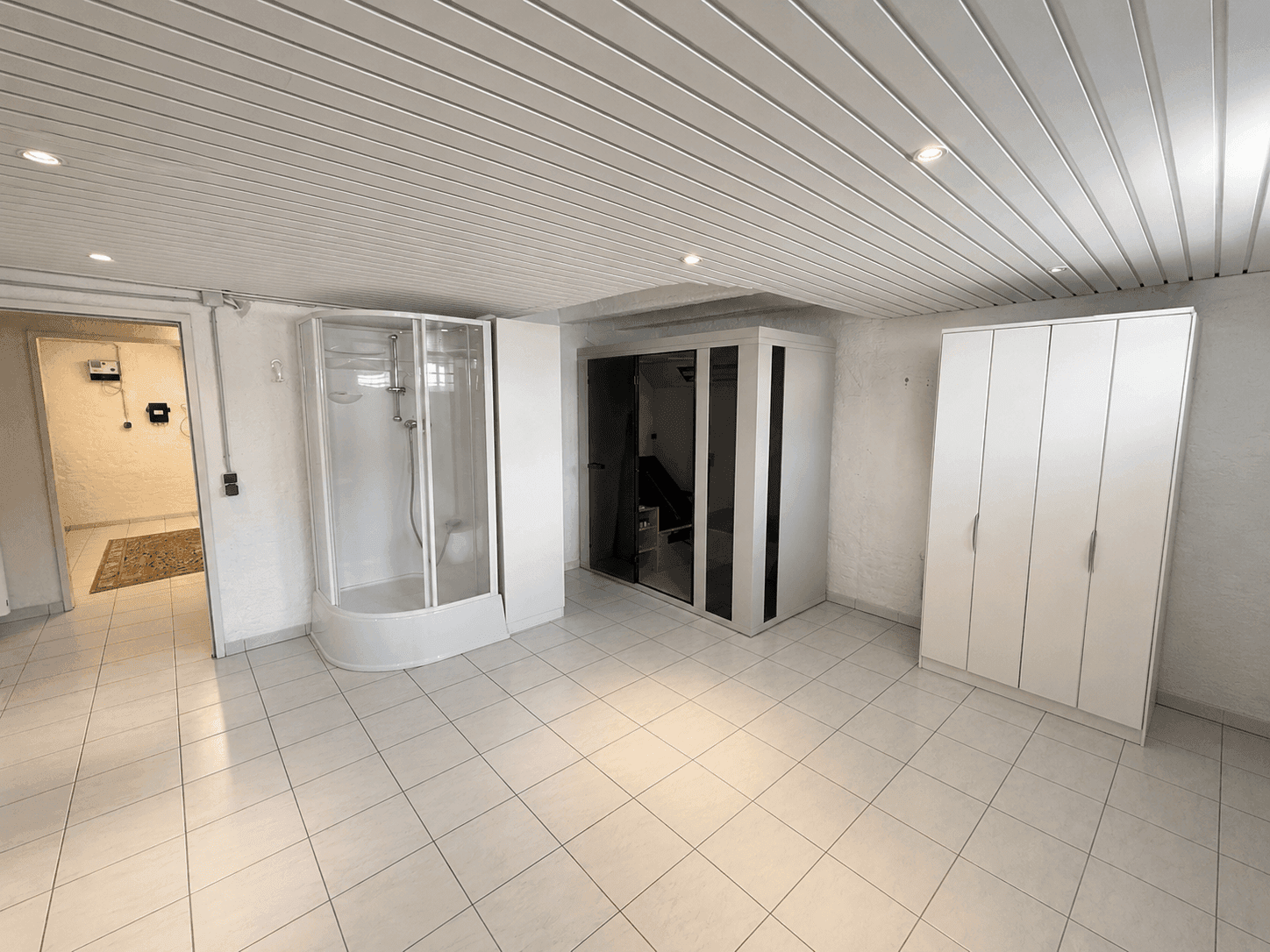 Kellerraum mit integrierter Sauna und Duschkabine, ideal für Wellness.