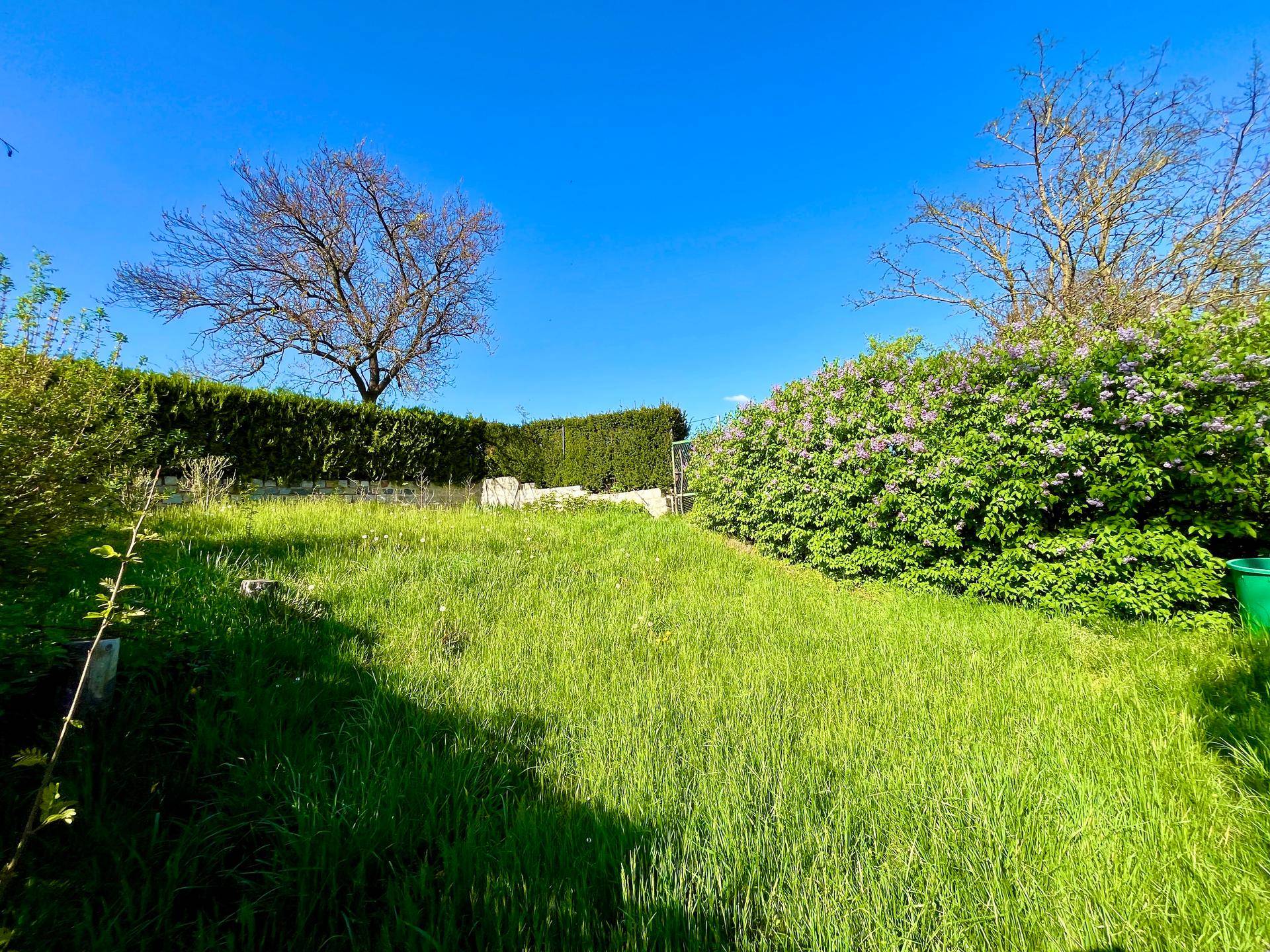 Große Rasenfläche im Garten mit Hecken und blühenden Sträuchern unter blauem Himmel.