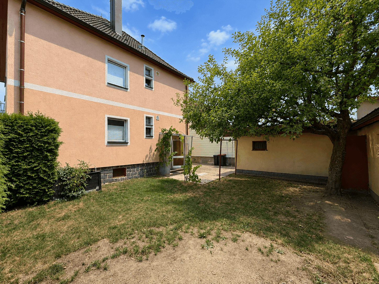 Hinterhofgarten mit Rasenfläche, Obstbaum und Zugang zum Haus, ideal für Entspannung im Freien.