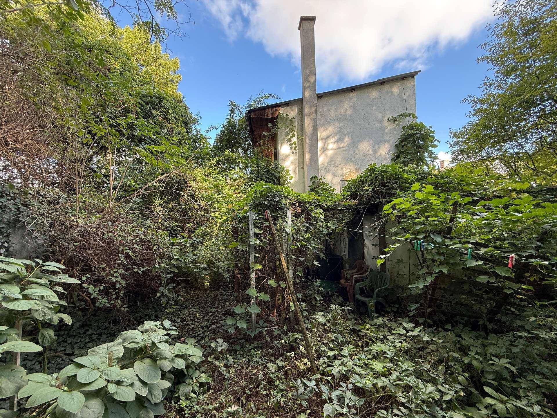 Hinterhof mit üppiger Vegetation und Blick auf die Rückseite des Hauses.