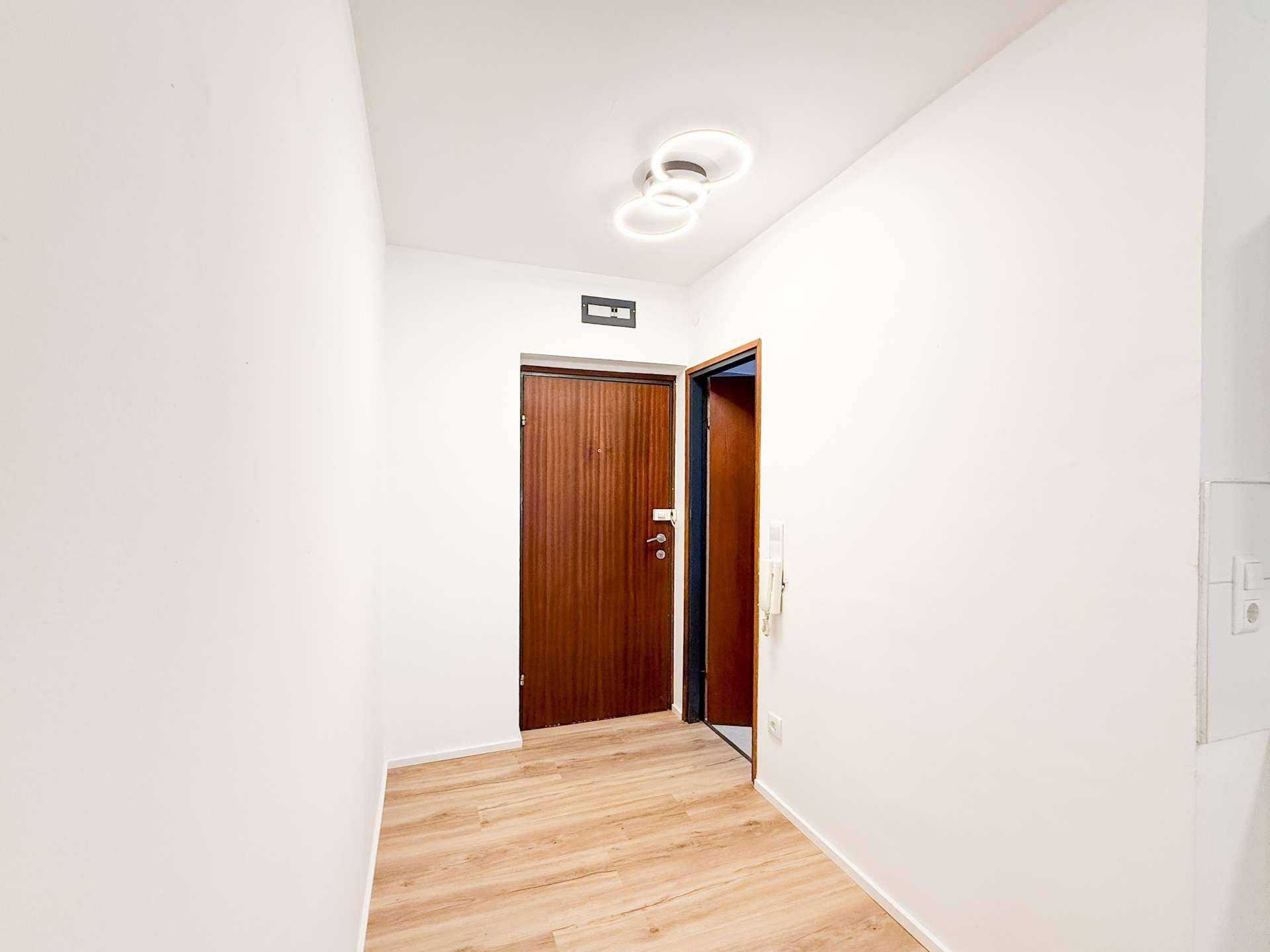 Heller Eingangsbereich mit Laminatboden und dunkler Holztür.