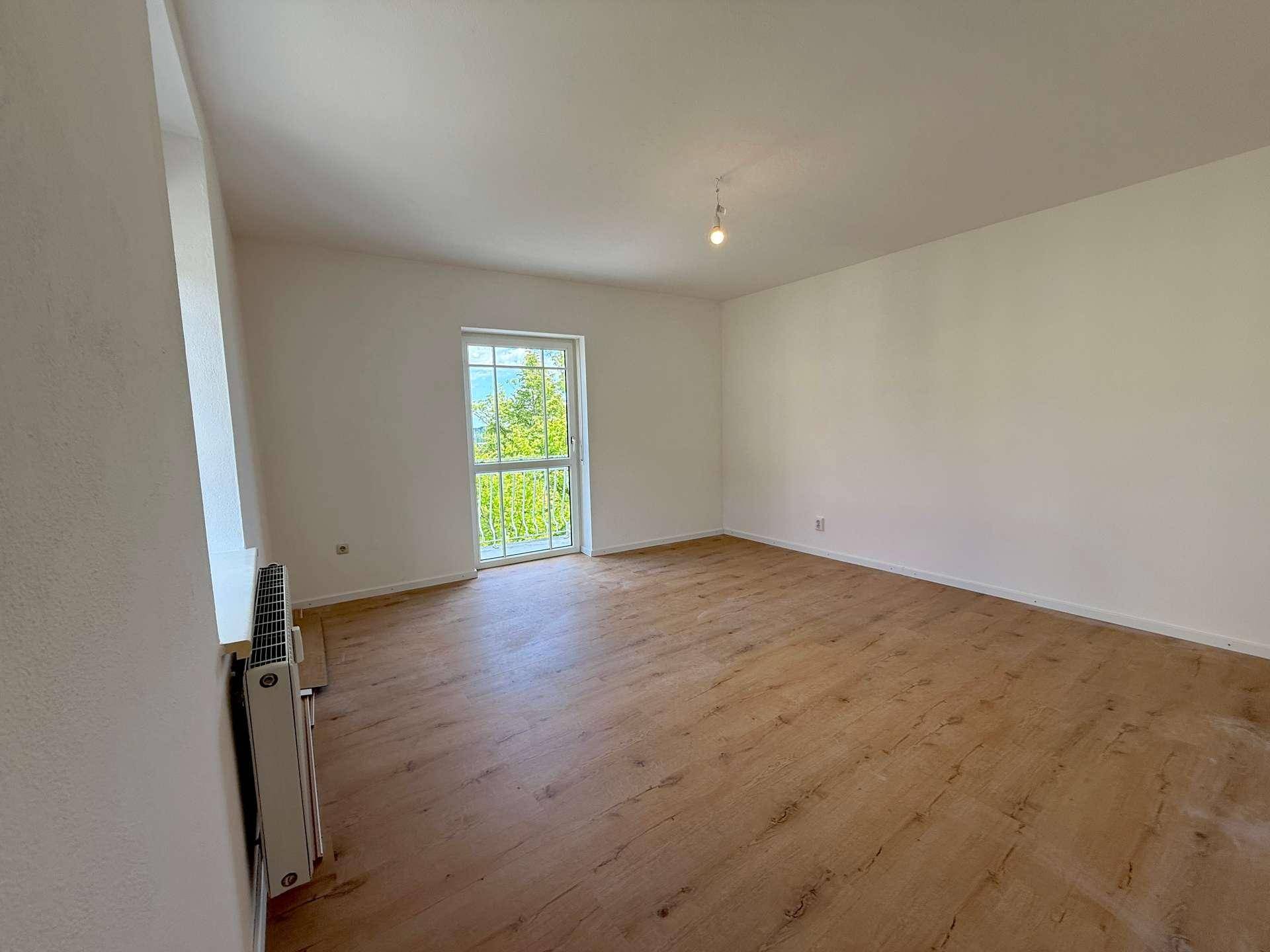Heller Raum mit Laminatboden und Zugang zu einem französischen Balkon.