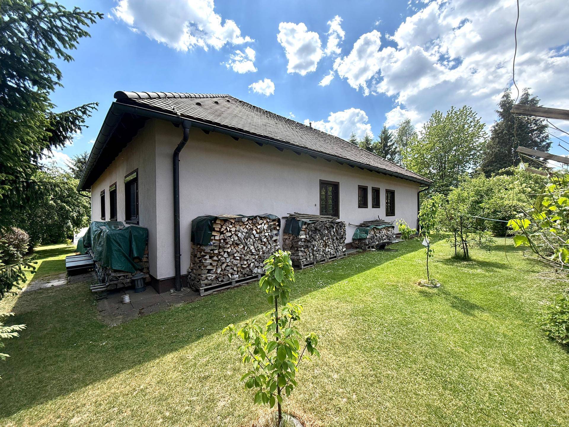 Rückansicht des Hauses mit gestapeltem Brennholz, Rasenfläche und umgebenden Bäumen.