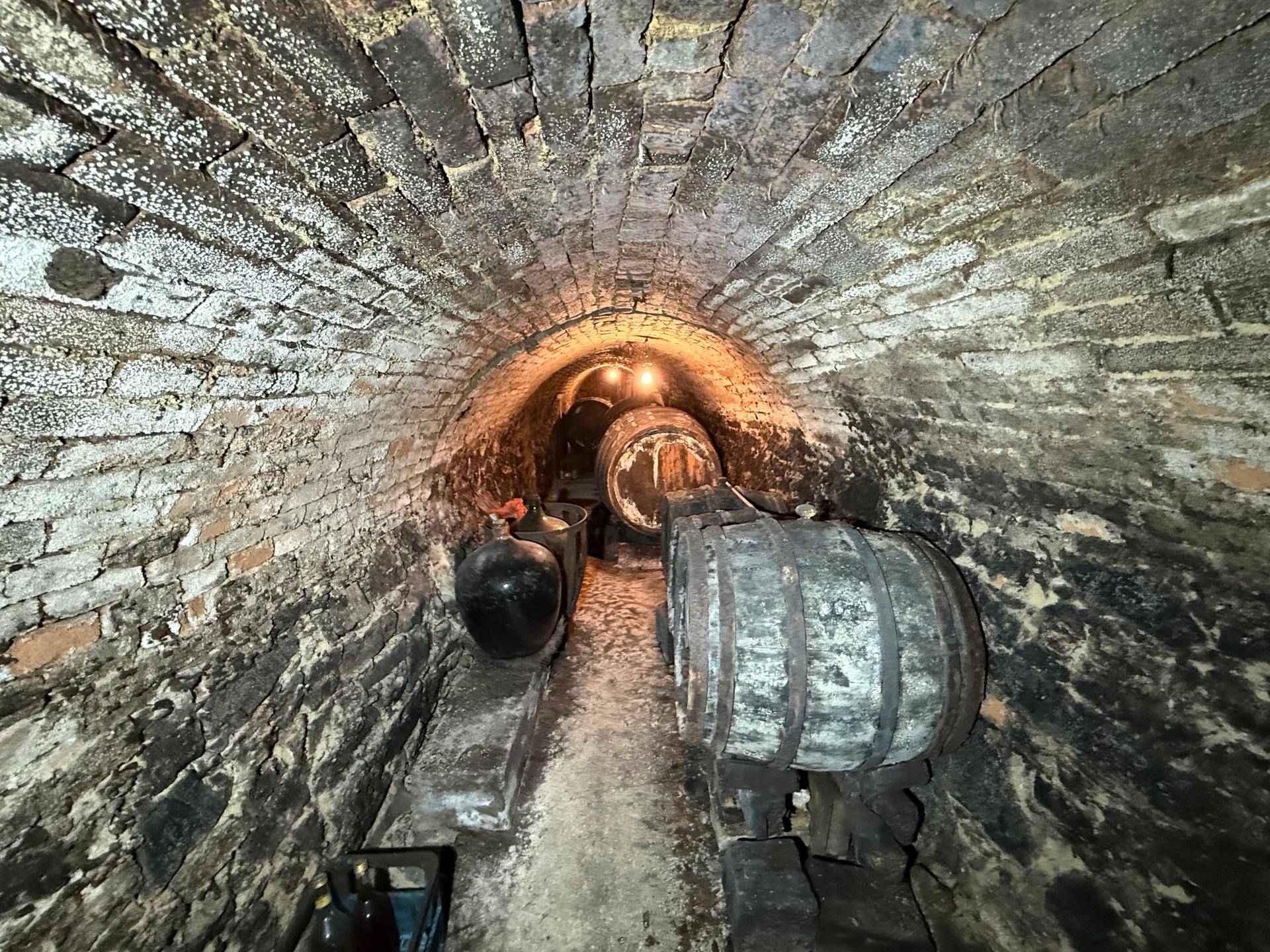 Historischer Weinkeller mit Ziegelgewölbe und alten Holzfässern.