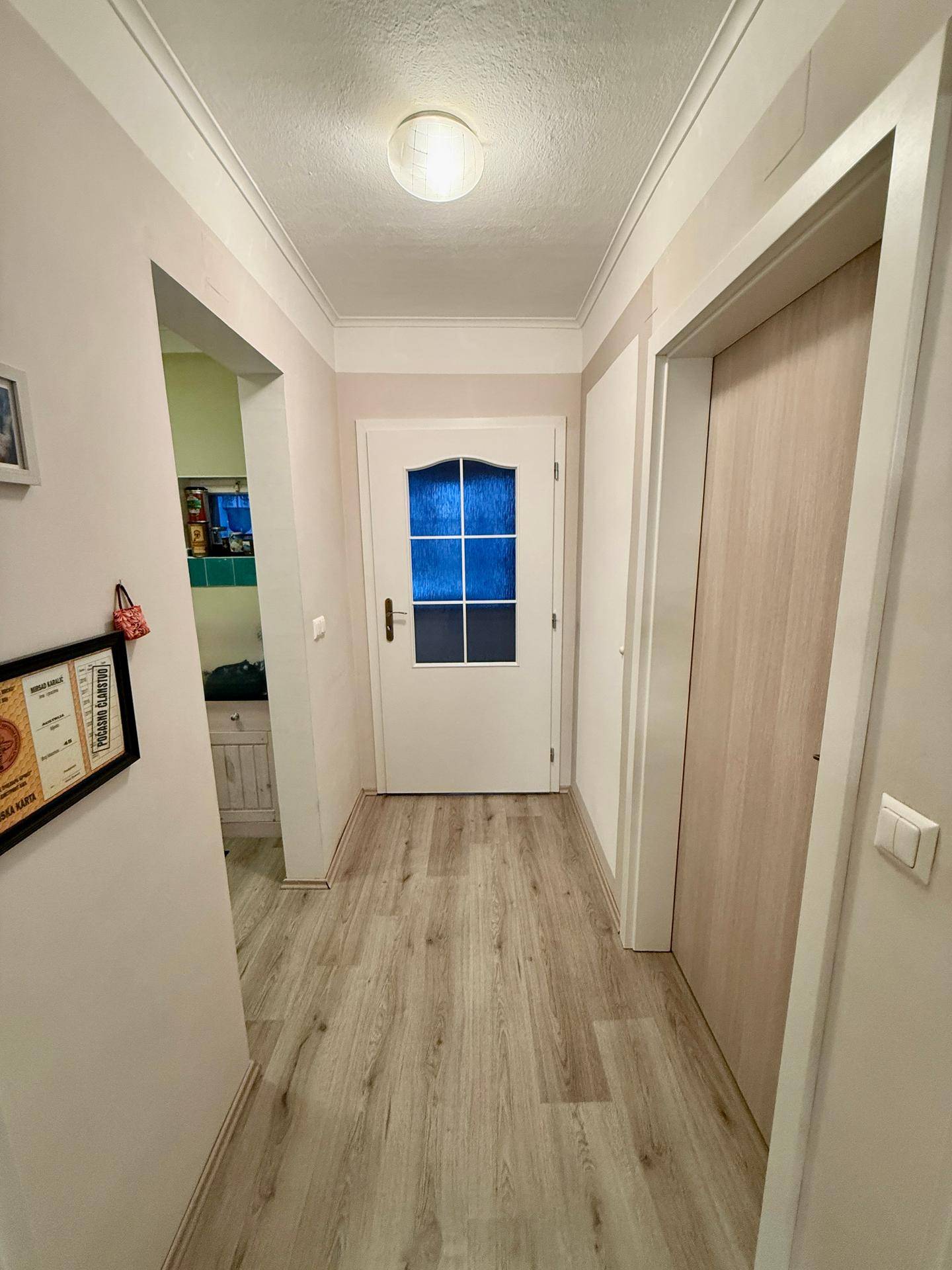Heller Flur mit Holzboden und einer weißen Eingangstür mit Glaseinsätzen.