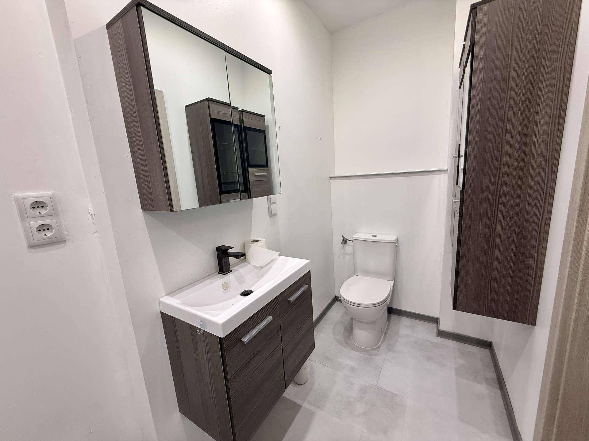 Separates WC mit modernem Waschbecken, Toilette und Spiegelschrank.
