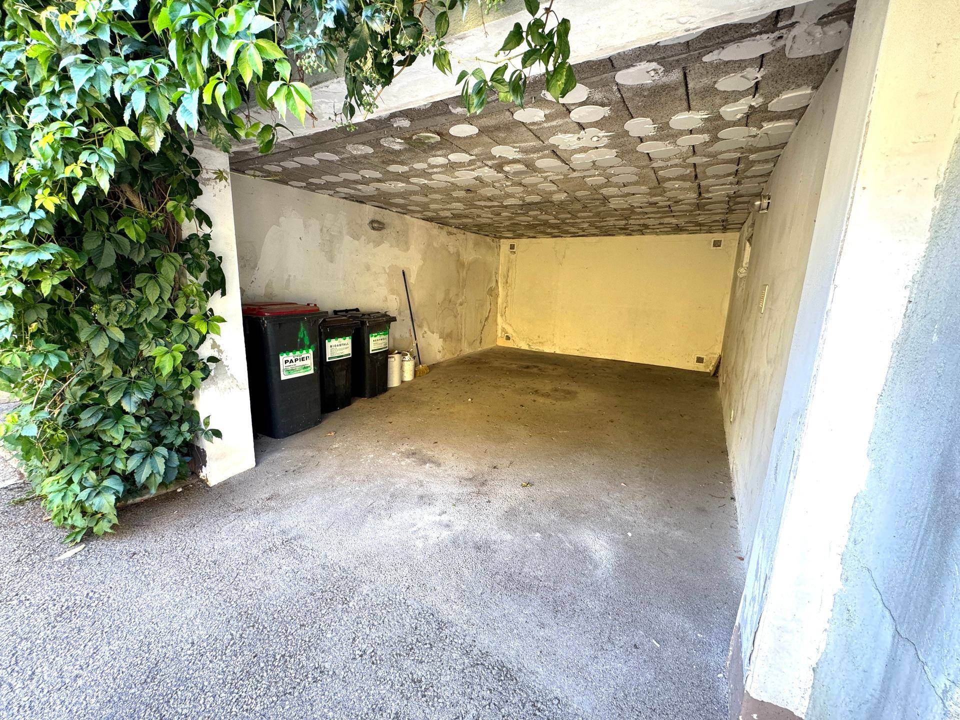 Überdachter Stellplatz oder Carport mit Mülltonnen und Rankpflanzen an der Wand.