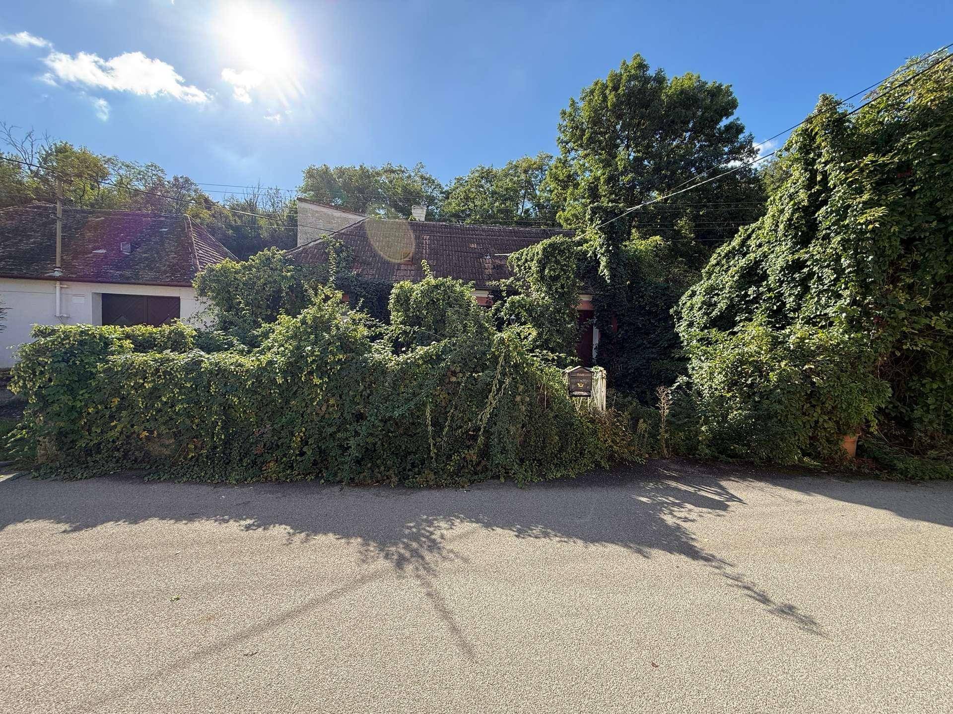 Gesamtansicht des Hauses von der Straße, umgeben von dichter Vegetation.