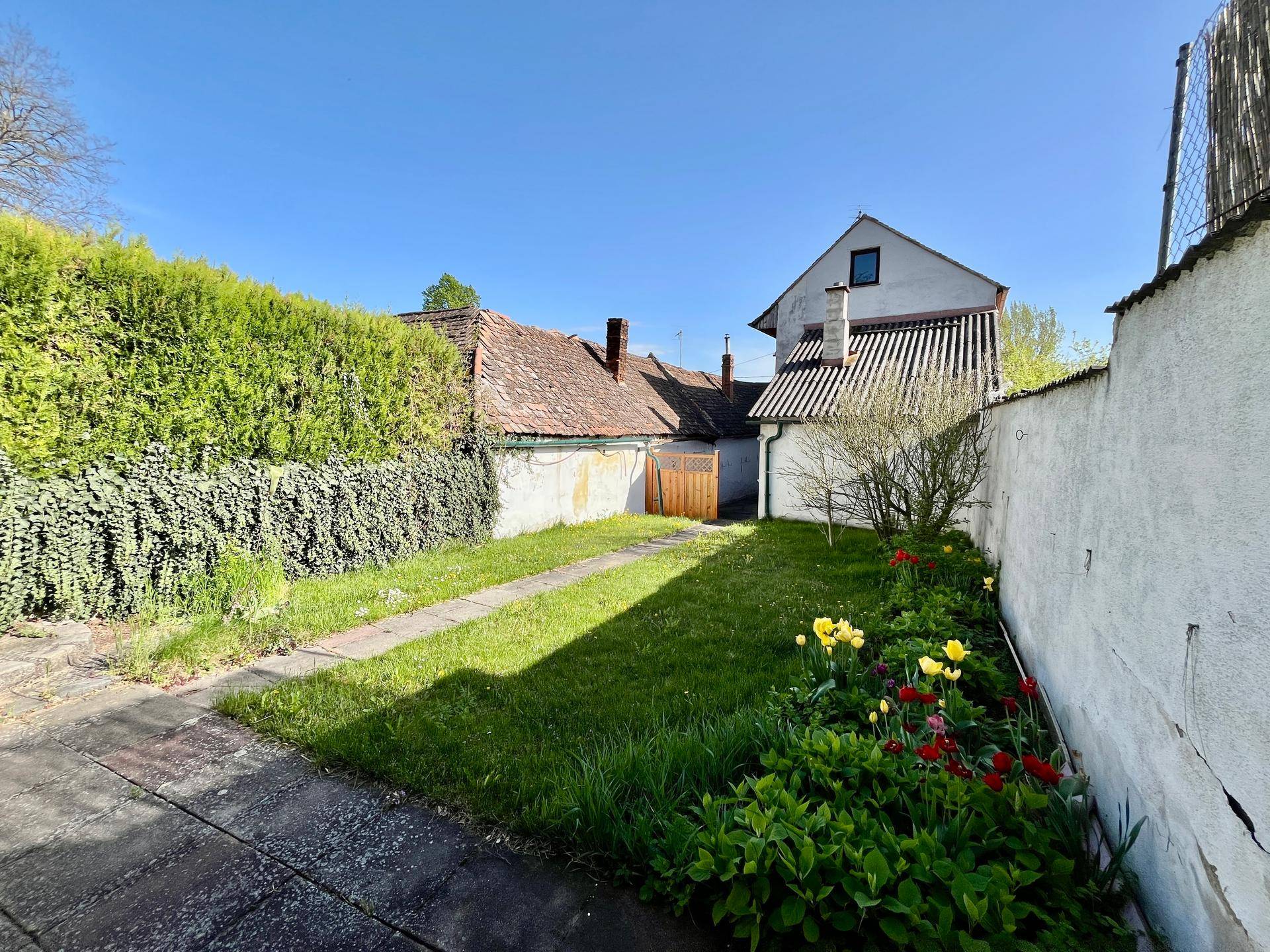 Kleiner, sonniger Gartenbereich mit Rasen, Blumen und einer hohen Hecke.