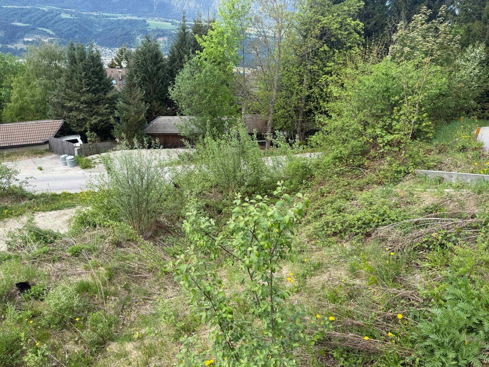 Unbebautes Grundstück mit dichter Vegetation und Blick auf die umliegende Bebauung und Landschaft.