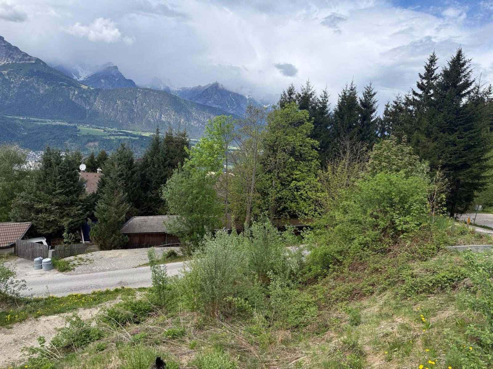 Grünes Grundstück mit Bäumen und einem weiten Blick auf die Bergkette im Hintergrund.