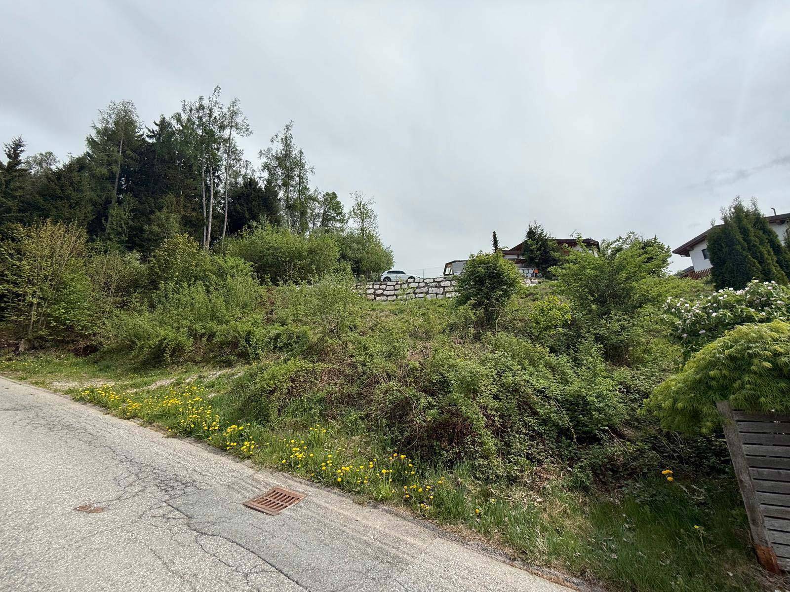 Unbebautes Hanggrundstück mit üppiger Vegetation und einer angrenzenden Straße unter bewölktem Himmel.