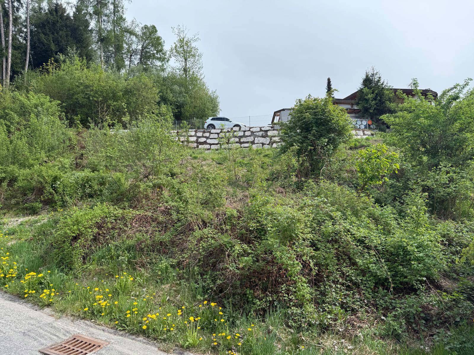 Hanggrundstück mit einer Steinmauer und dichter Vegetation, umgeben von grüner Natur.