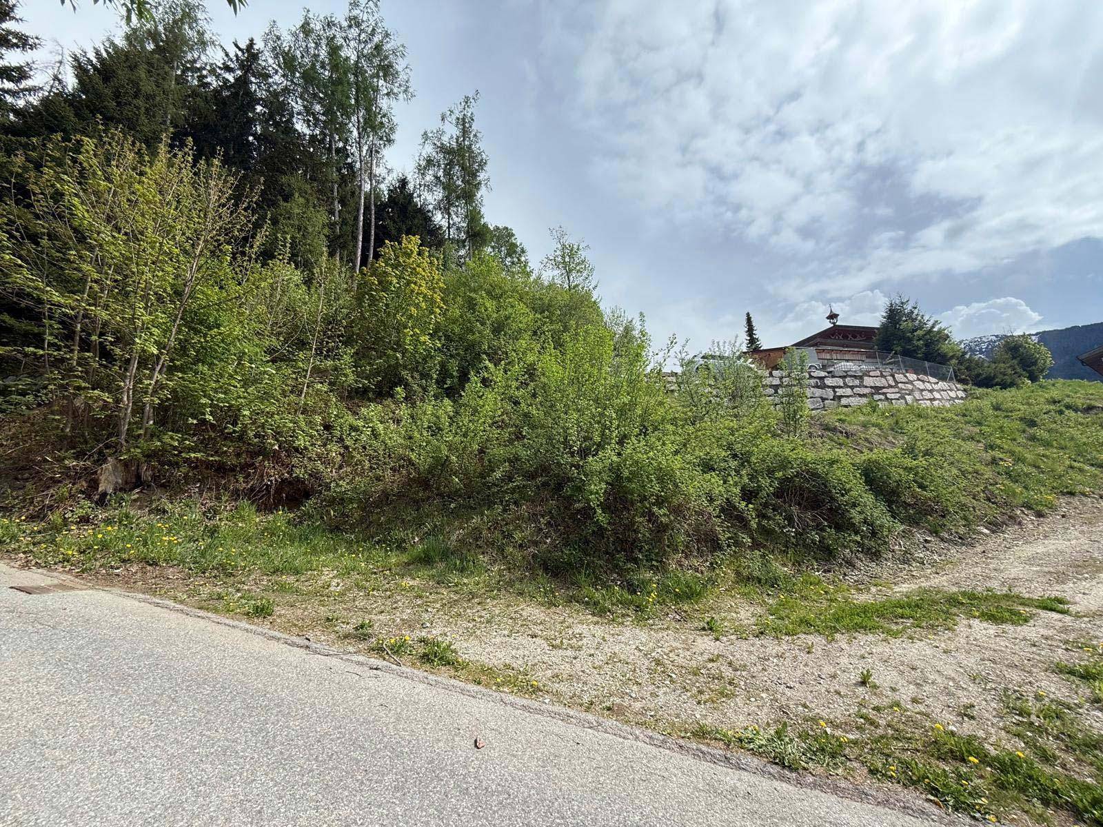 Unbebautes Hanggrundstück mit dichter Vegetation und einer angrenzenden Straße unter bewölktem Himmel.