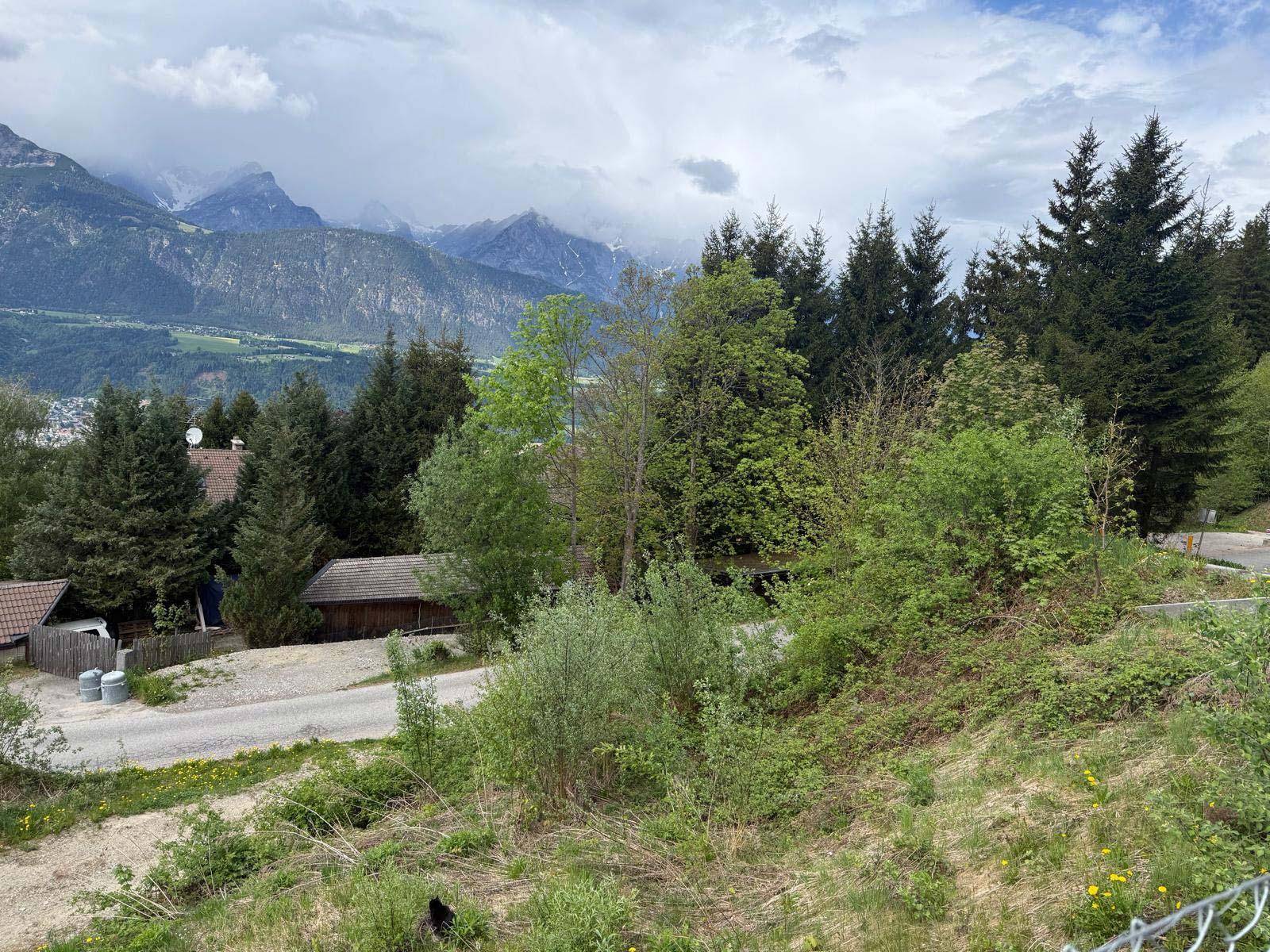 Grünes Grundstück mit Bäumen und einem weiten Blick auf die Bergkette im Hintergrund.