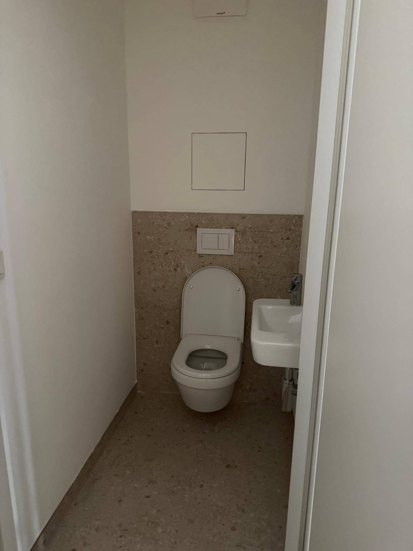 Modernes Gäste-WC mit Wand-WC, kleinem Waschbecken und gefliesten Wänden.