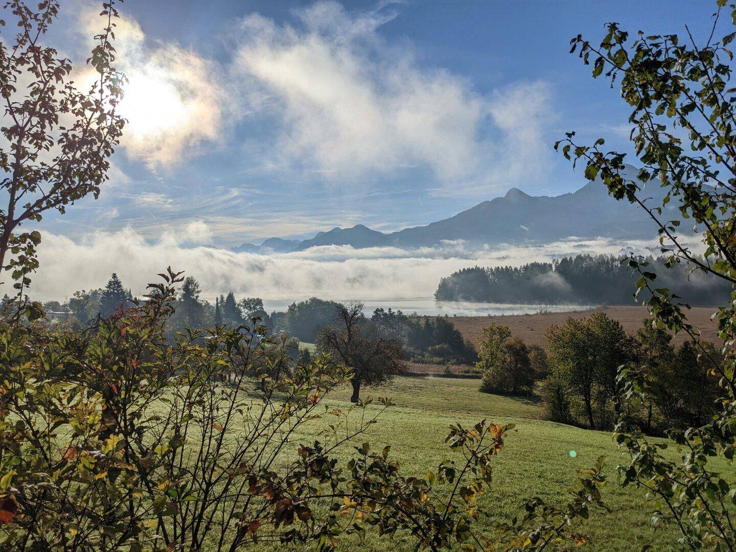 Malerischer Ausblick auf einen nebelverhangenen See und Berge, umrahmt von Bäumen.