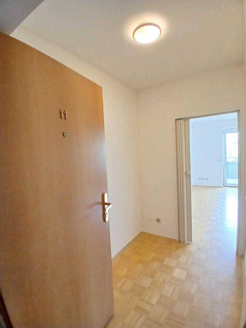 Eingangsbereich mit Holztür und Parkettboden, der in den Wohnbereich der Wohnung führt.