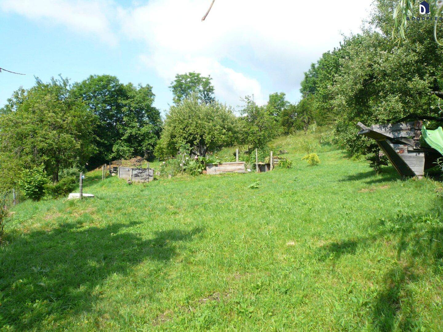 Weitläufige Rasenfläche im Garten mit Bäumen und Sträuchern in einer natürlichen Umgebung.