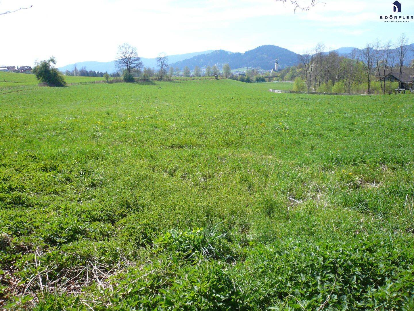 Ausgedehnte grüne Landschaft mit Blick auf eine ländliche Siedlung und bewaldete Hügel in der Ferne.
