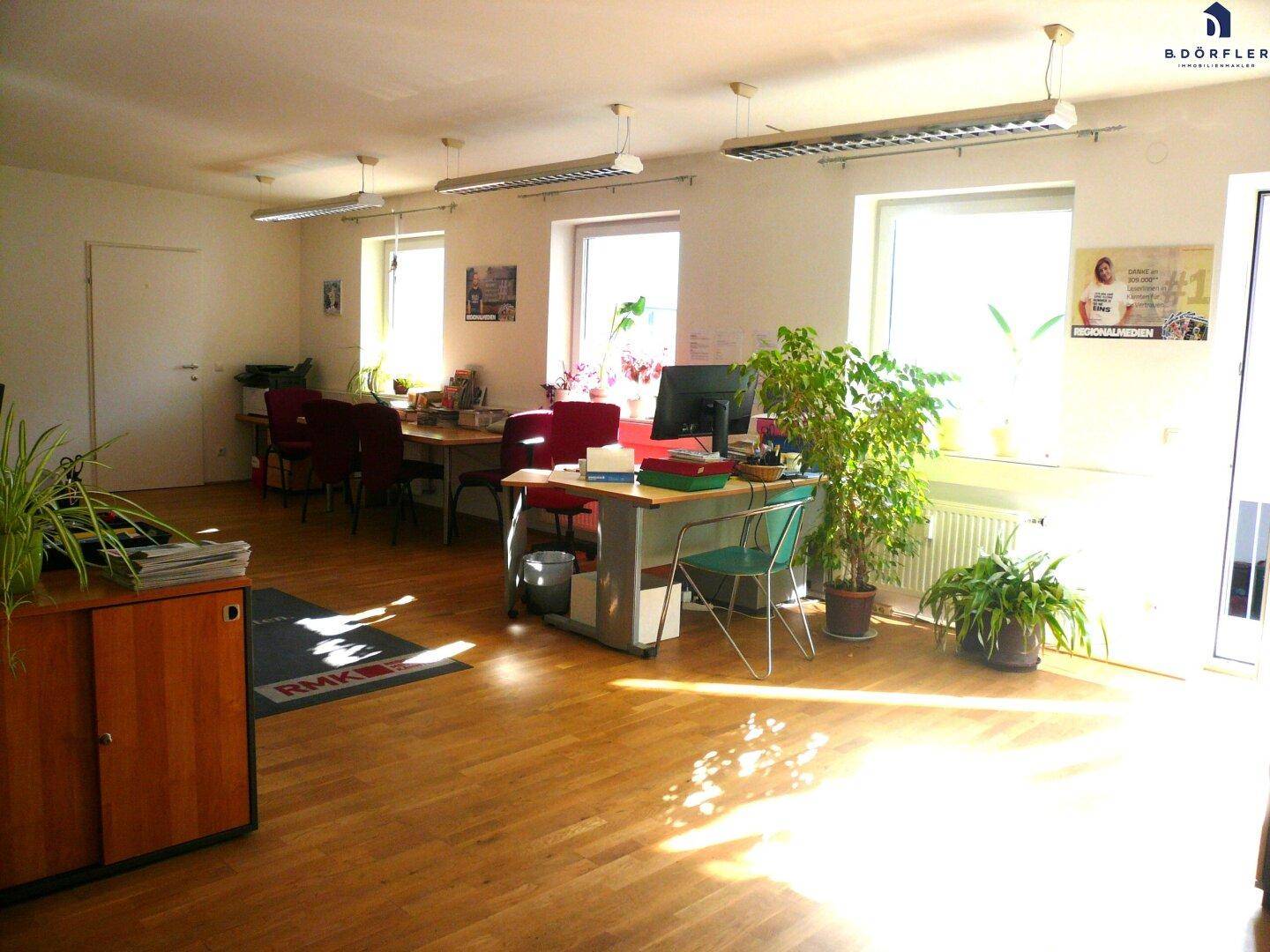 Großes Büro mit mehreren Schreibtischen, Pflanzen und hellem Holzfußboden, durchflutet von Sonnenlicht.
