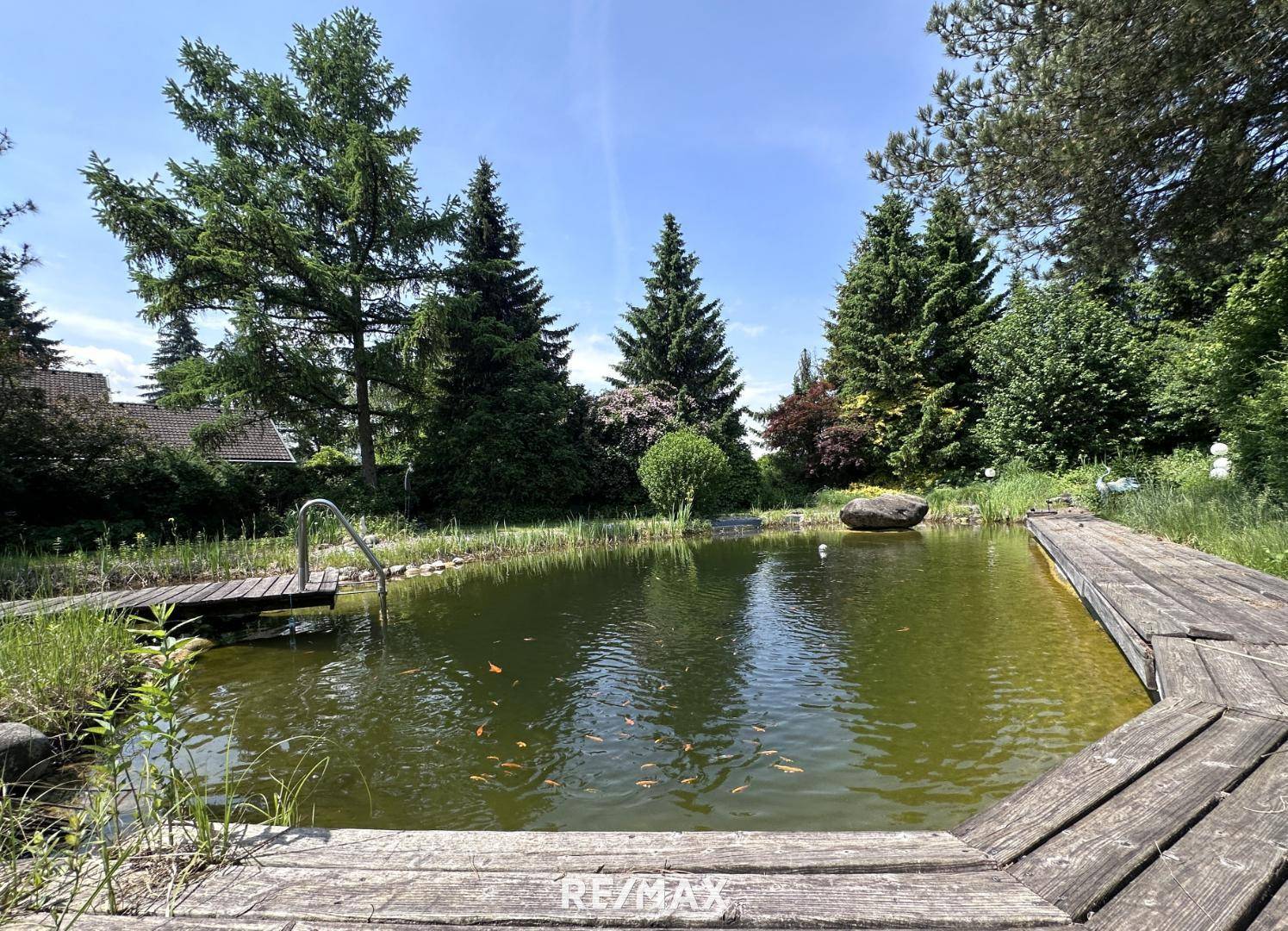 Schwimmteich