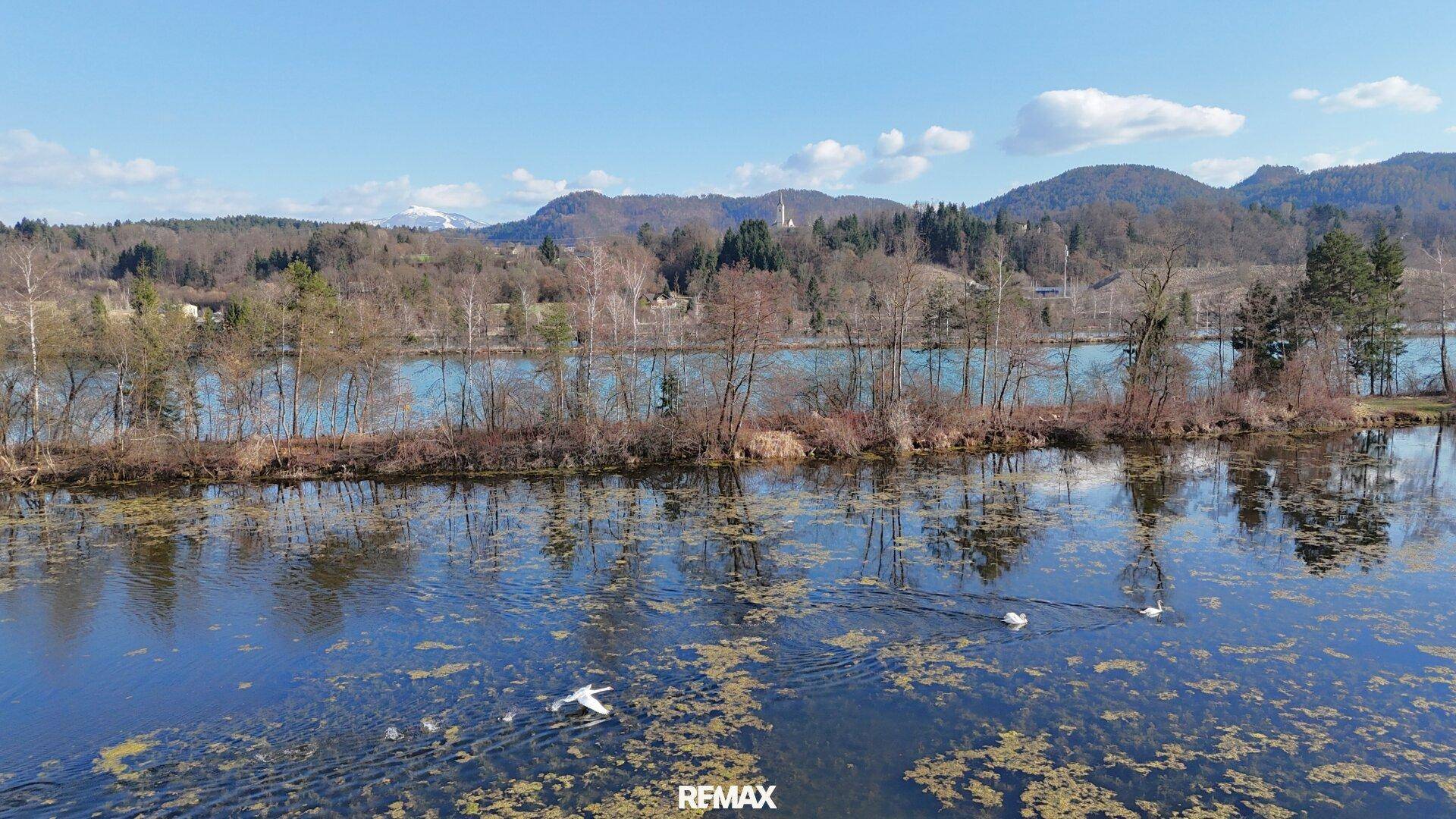 Idyllische Seenlandschaft mit Bergen im Hintergrund und Schwänen auf dem Wasser unter blauem Himmel.