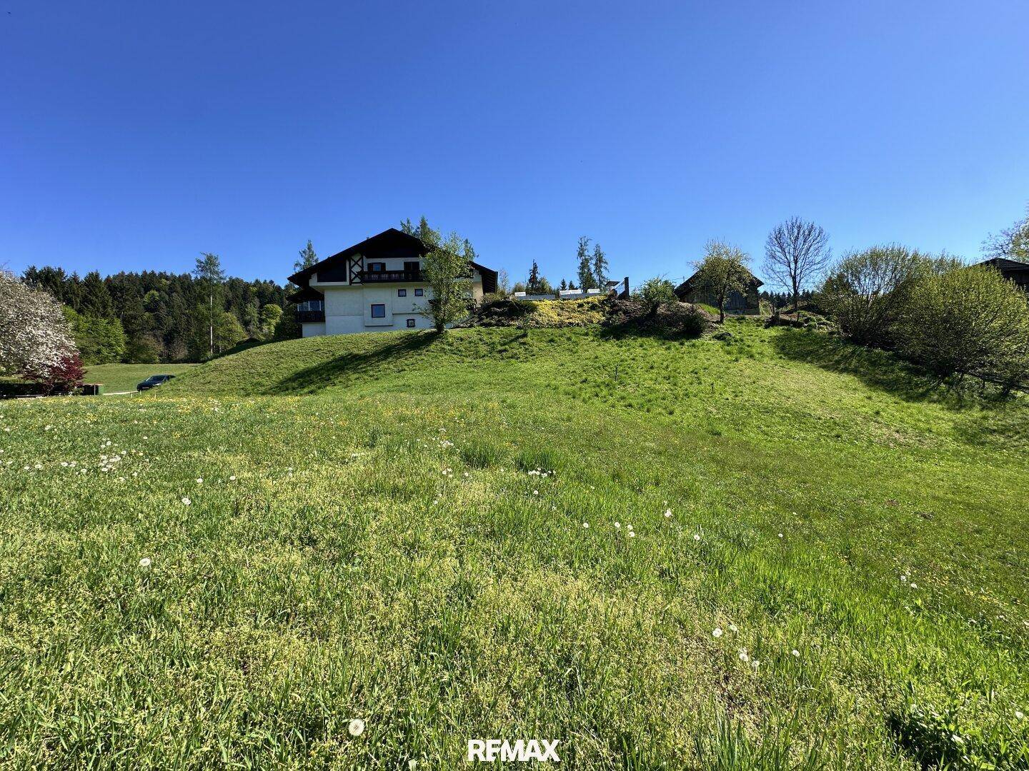 Weitläufige grüne Wiese mit einem Haus auf einem Hügel im Hintergrund, umgeben von Bäumen und Natur.