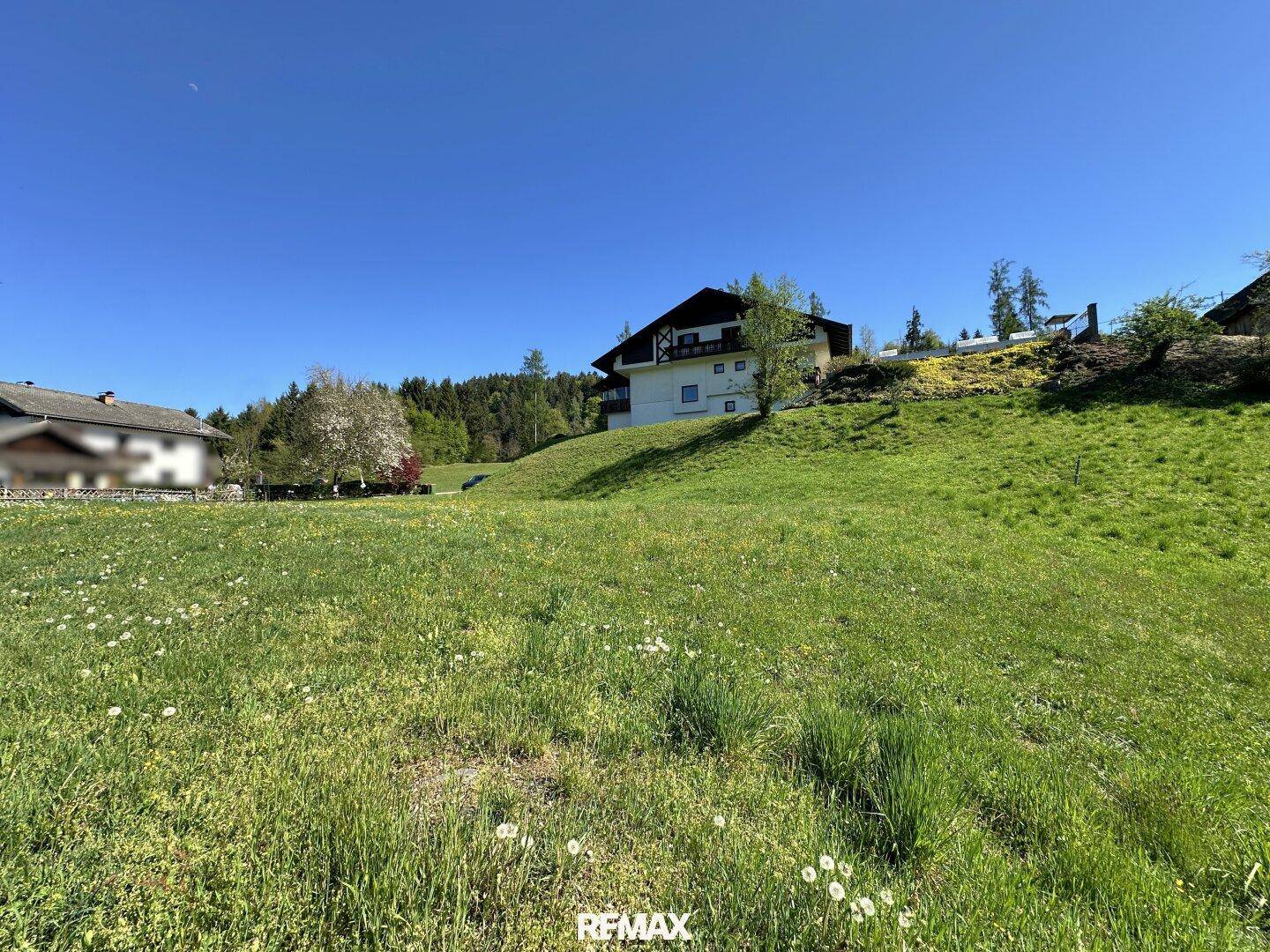 Sonnige Wiese mit Löwenzahn und einem traditionellen Haus auf einem grünen Hügel, umgeben von Bäumen.