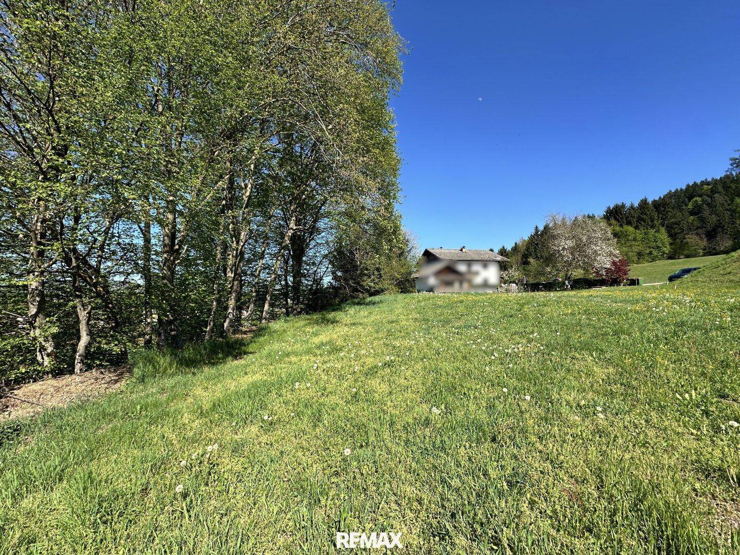 Grüne Wiese mit hohen Bäumen auf der linken Seite und einem Haus in der Ferne unter blauem Himmel.