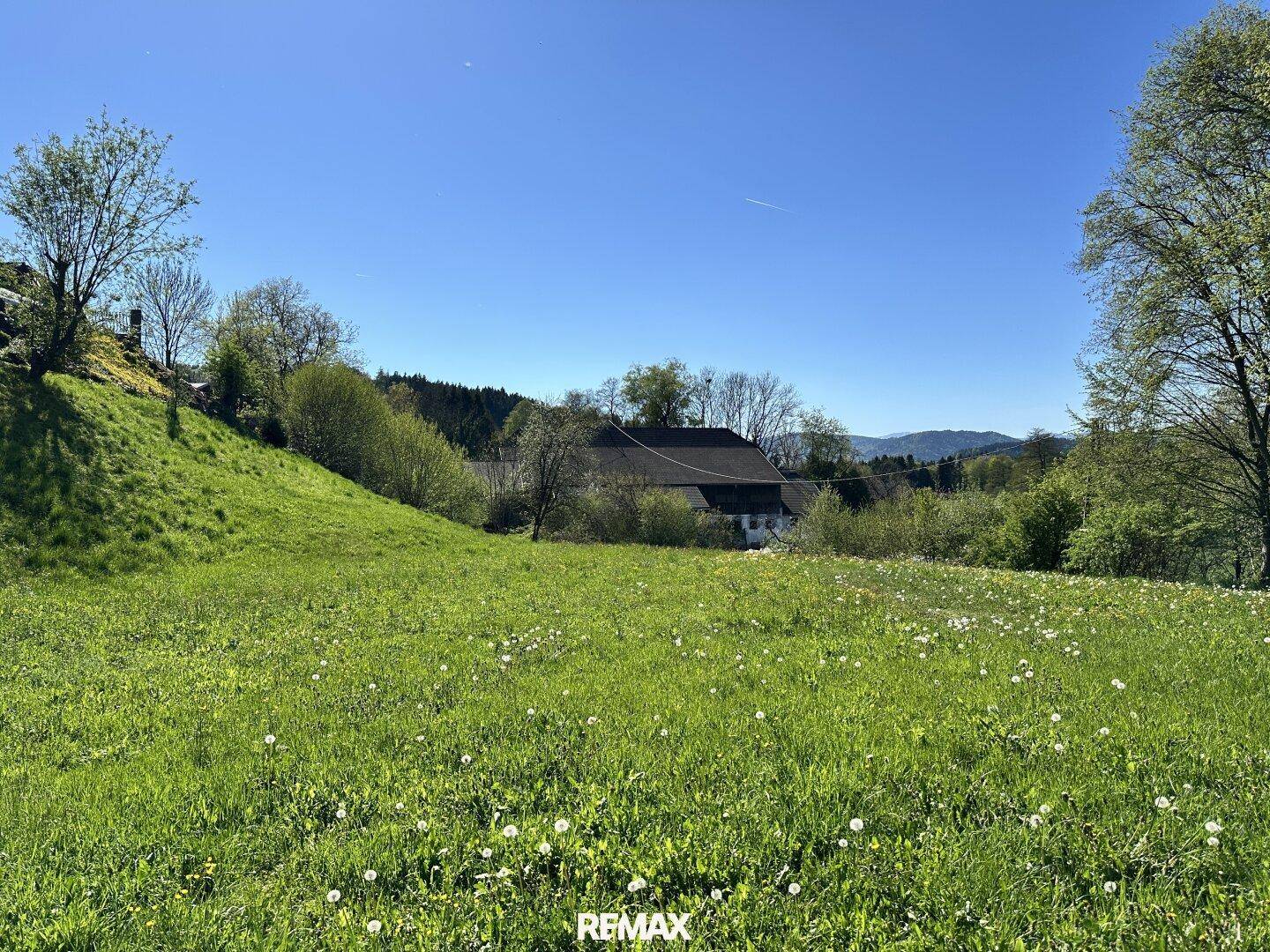 Sonnige Wiese mit Löwenzahn, einem Haus und Bäumen im Hintergrund, mit Blick auf ferne Berge.