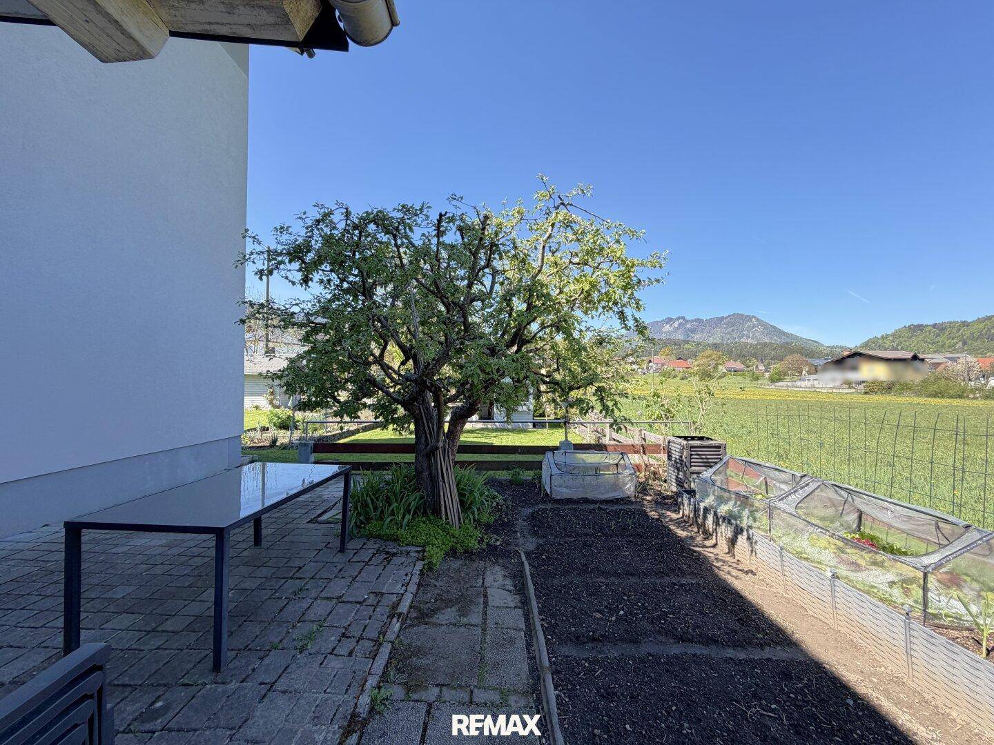 Sonniger Terrassenbereich neben dem Haus mit Obstbaum und Gemüsegarten, umgeben von Natur.