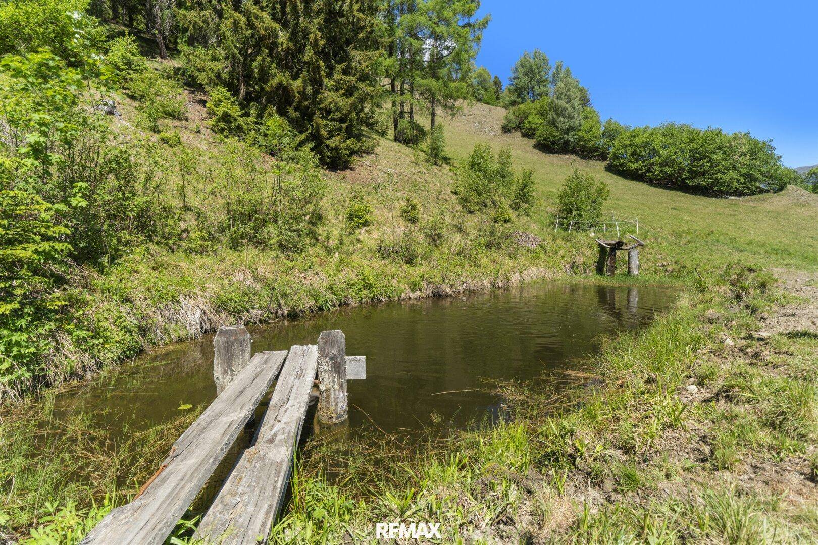 Kleiner Naturteich mit einem Holzsteg, umgeben von grünem Gras und Bäumen in der Landschaft.