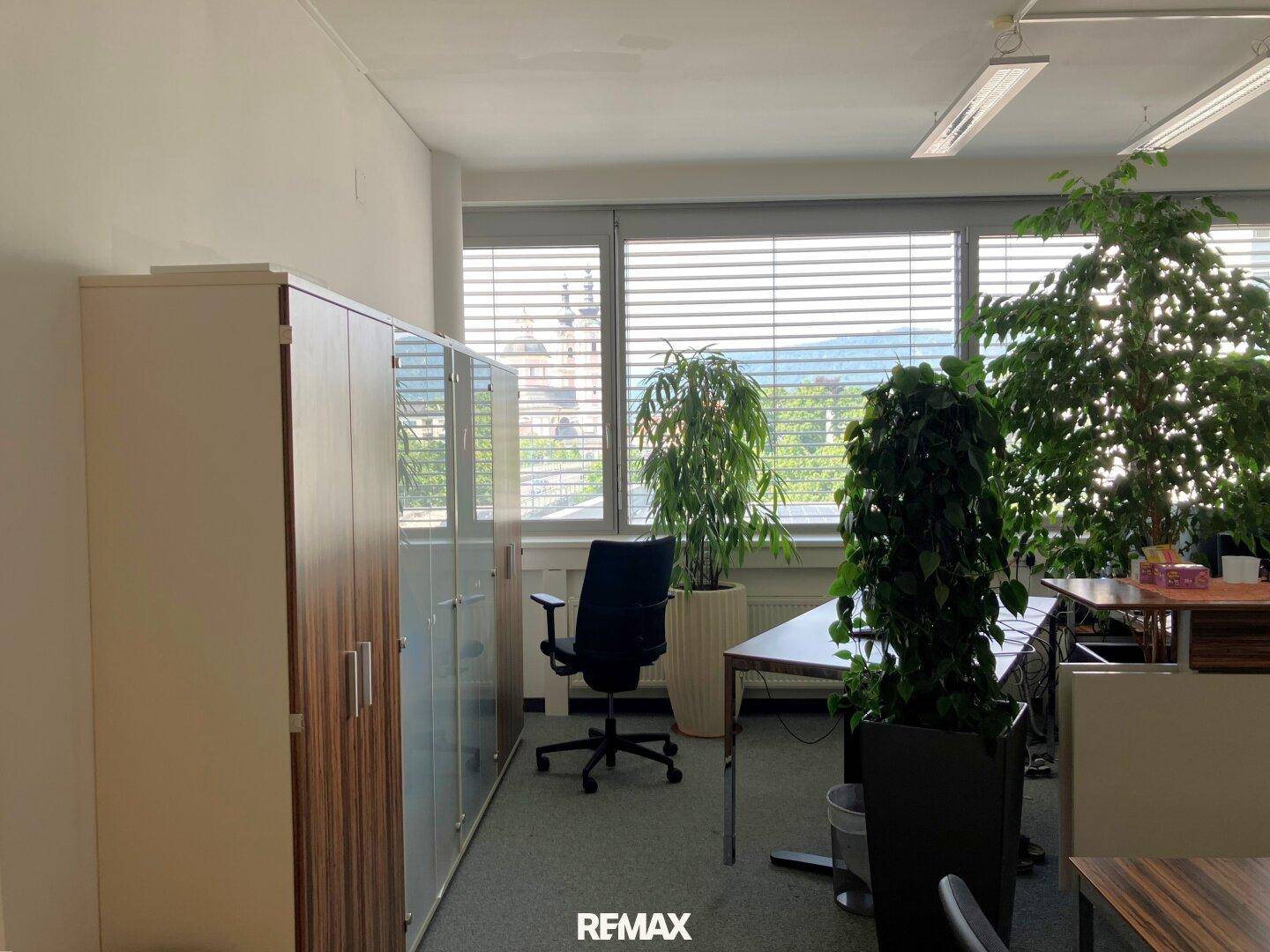 Helles Büro mit großen Fenstern, Pflanzen und Büromöbeln für eine angenehme Arbeitsatmosphäre.