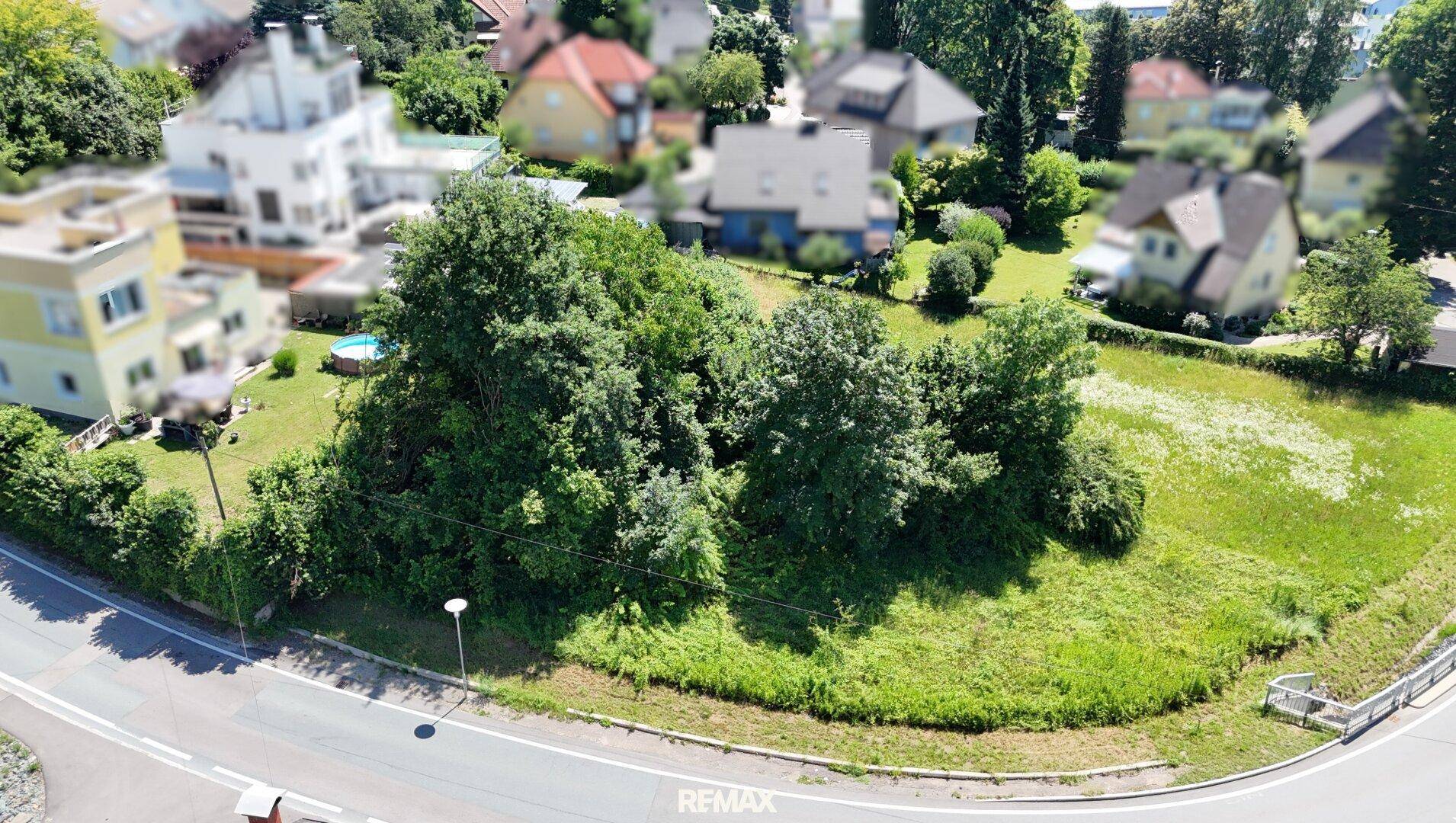 Luftaufnahme eines sonnigen Grundstücks mit viel Grün, umgeben von einer Straße und Wohngebäuden.