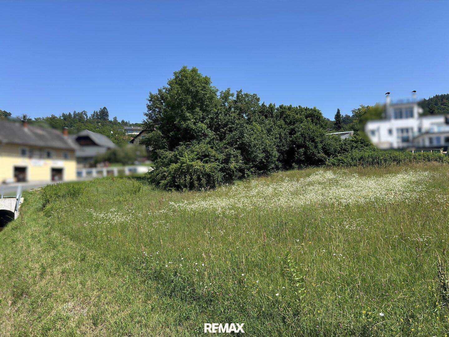 Sonniges, weitläufiges Grundstück mit hohem Gras und Wildblumen, umgeben von Bäumen und Häusern in der Ferne.