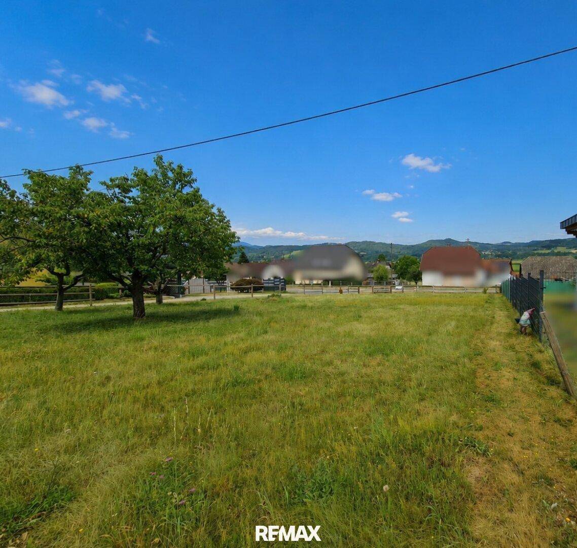 Weitläufiges grünes Grundstück mit Bäumen und Blick auf die umliegende Landschaft unter blauem Himmel.