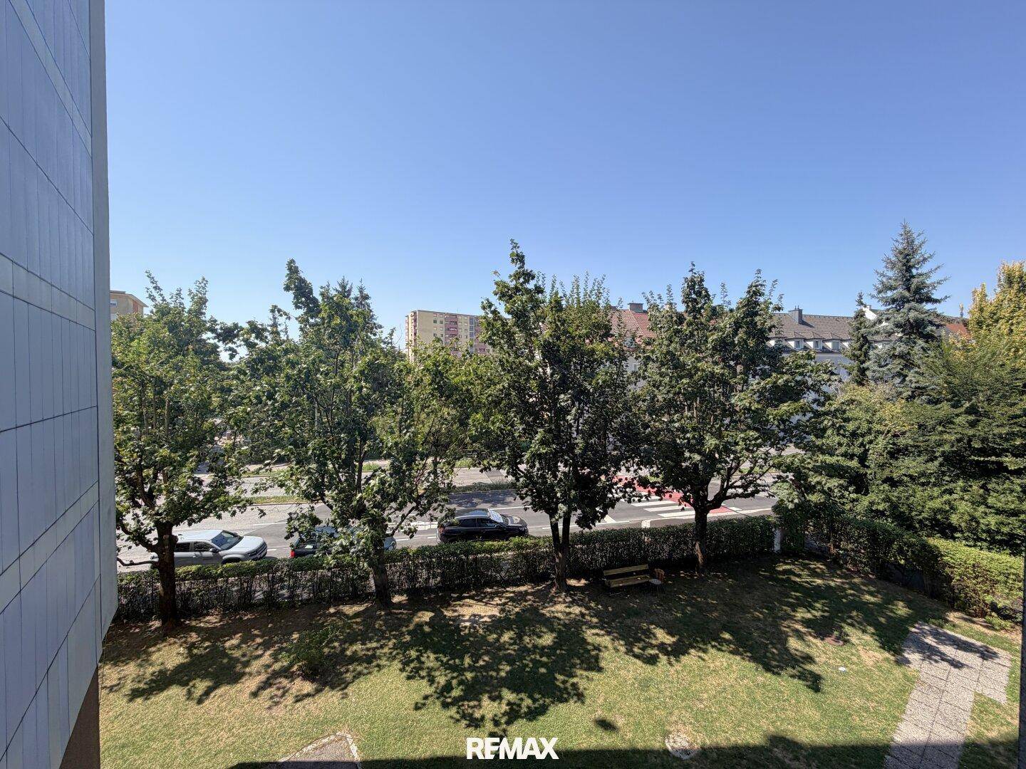 Blick auf eine von Bäumen gesäumte Straße mit parkenden Autos und Gebäuden im Hintergrund.