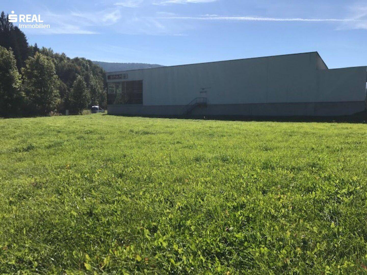 Grüne Wiese mit Blick auf ein nahegelegenes Geschäftsgebäude und bewaldete Hügel.