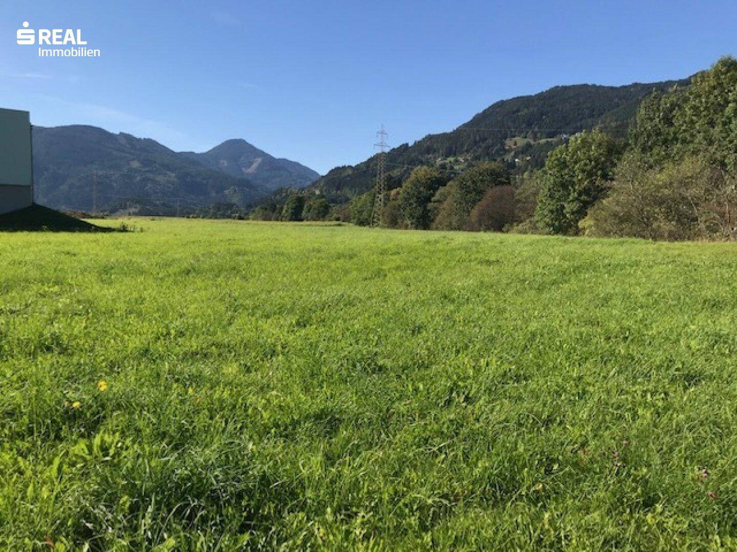 Ausgedehnte grüne Wiesenfläche mit Panoramablick auf die umliegende Berglandschaft.