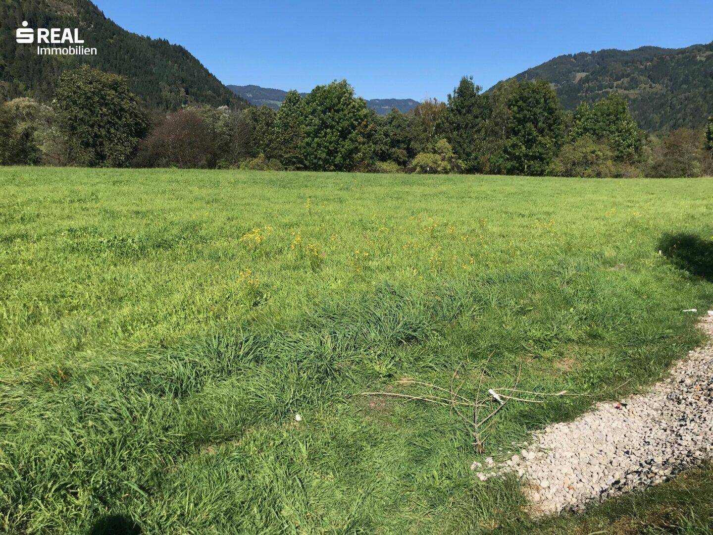 Grüne Wiesenlandschaft mit einem kleinen Kiesweg und bewaldeten Bergen im Hintergrund.