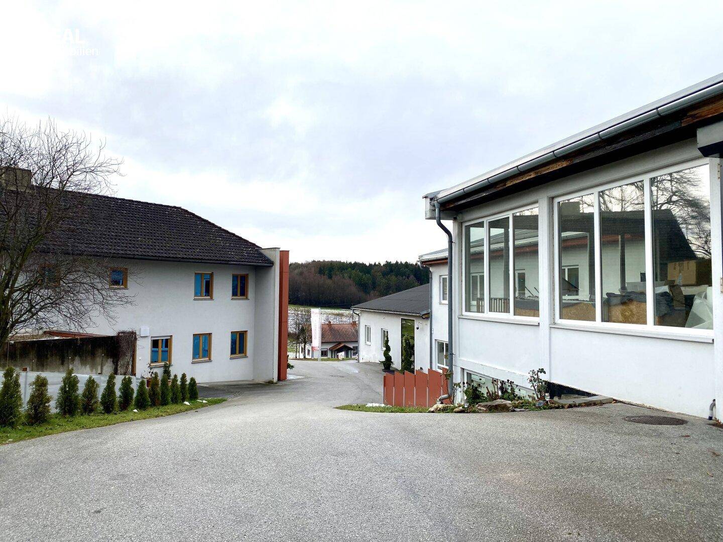Außenansicht des Anwesens mit mehreren Gebäuden, einer geschwungenen Zufahrt und Bäumen im Hintergrund.