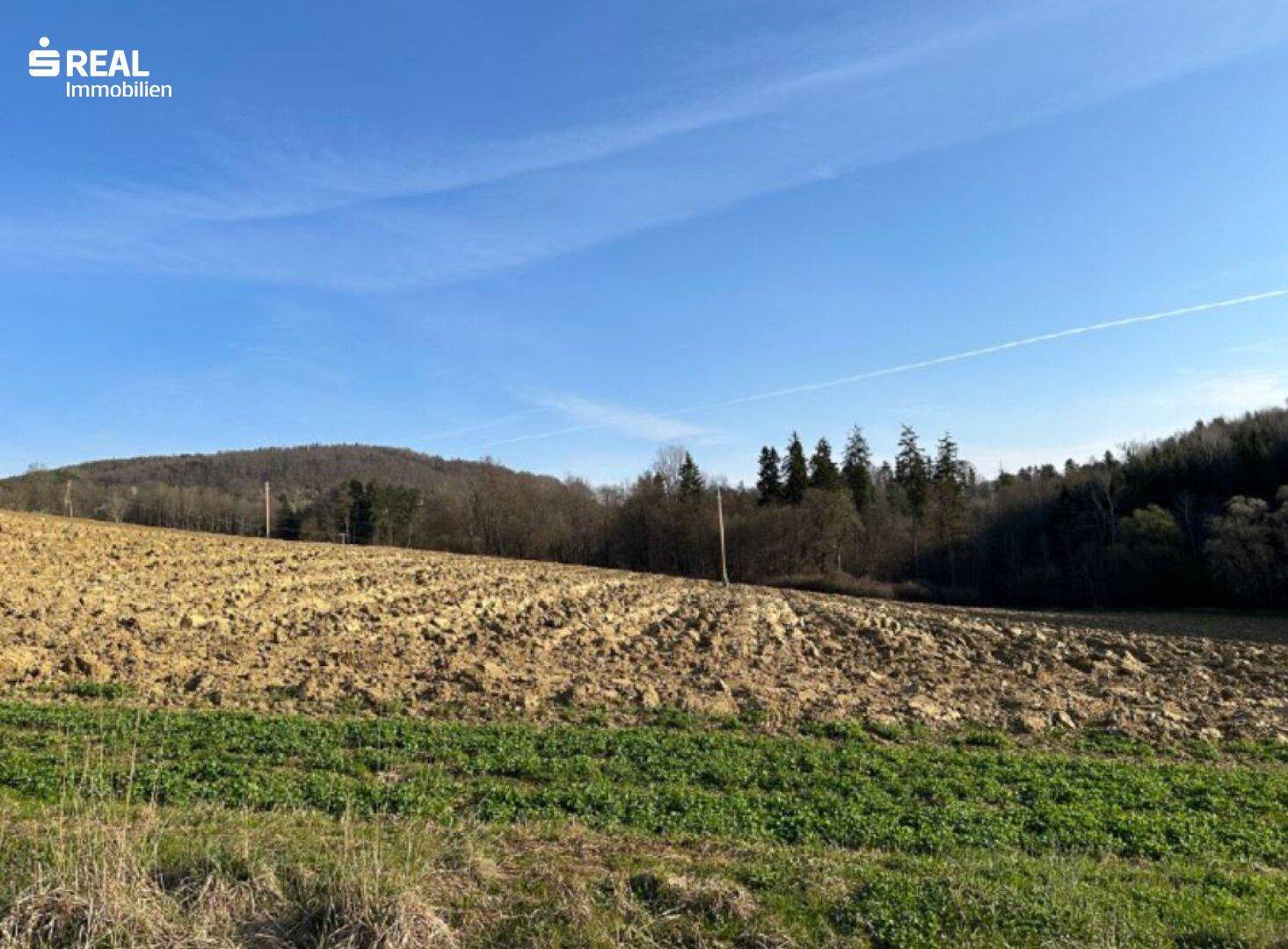 Blick über ein gepflügtes Feld mit grünen Akzenten und bewaldeten Hügeln im Hintergrund unter blauem Himmel.