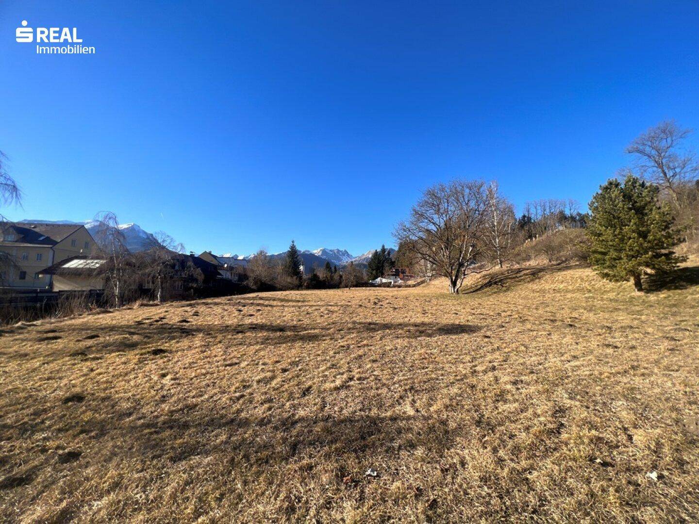Offenes Feld mit trockener Vegetation und Panoramablick auf die schneebedeckten Berge.