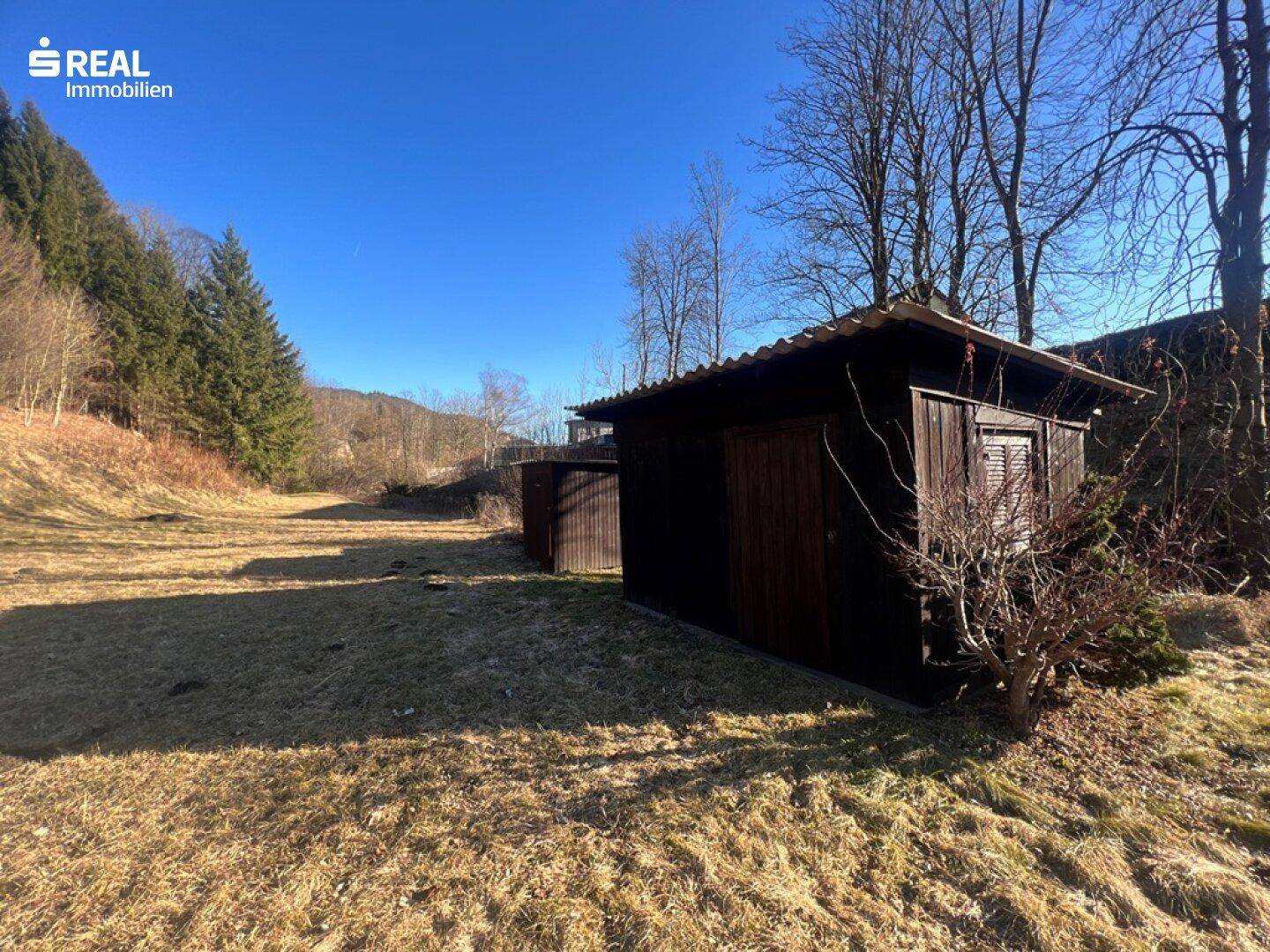 Kleiner Holzschuppen auf dem Grundstück, umgeben von trockenem Gras und Bäumen.