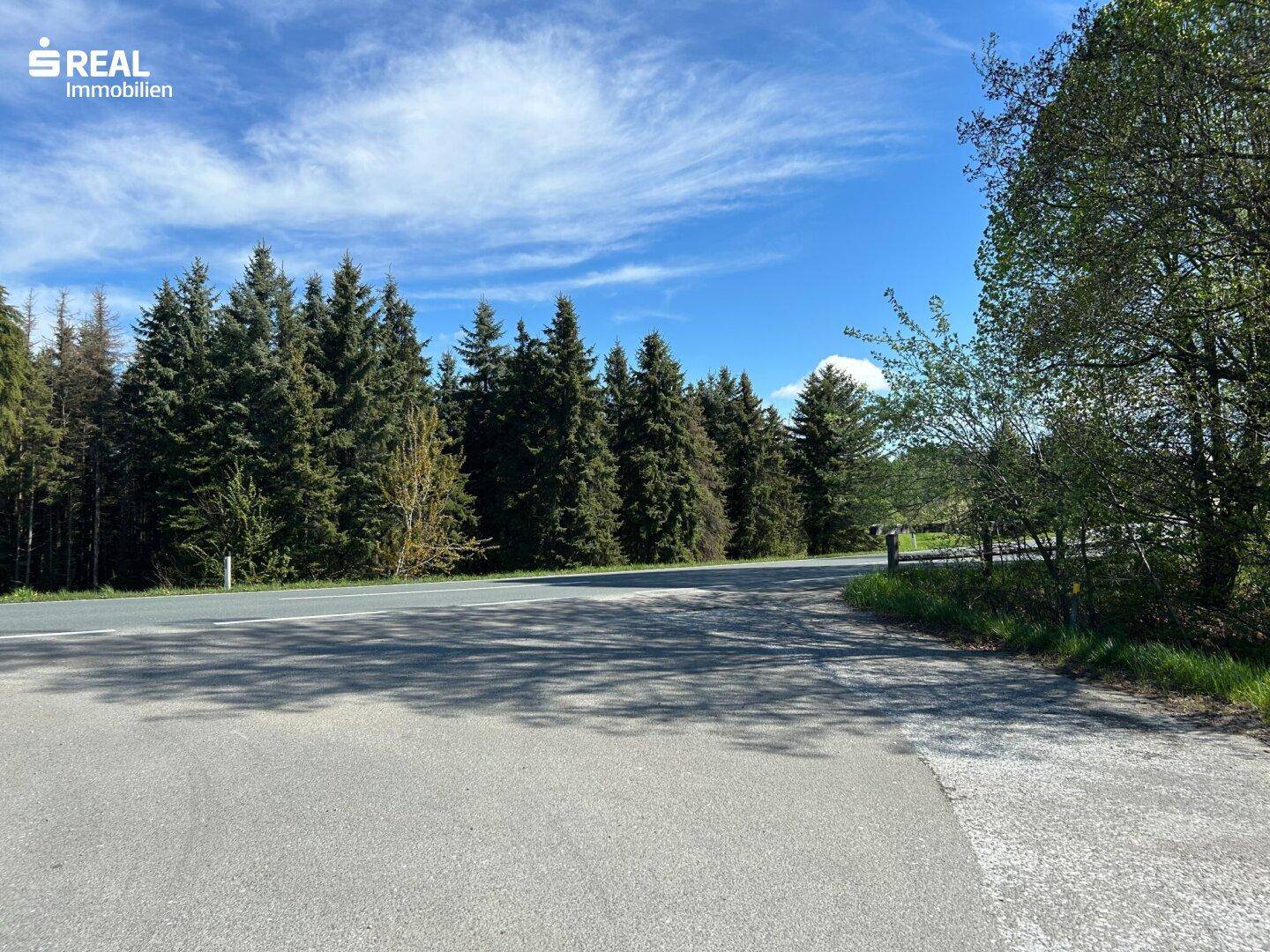 Landstraße umgeben von dichtem Nadelwald und Laubbäumen unter einem weiten blauen Himmel.