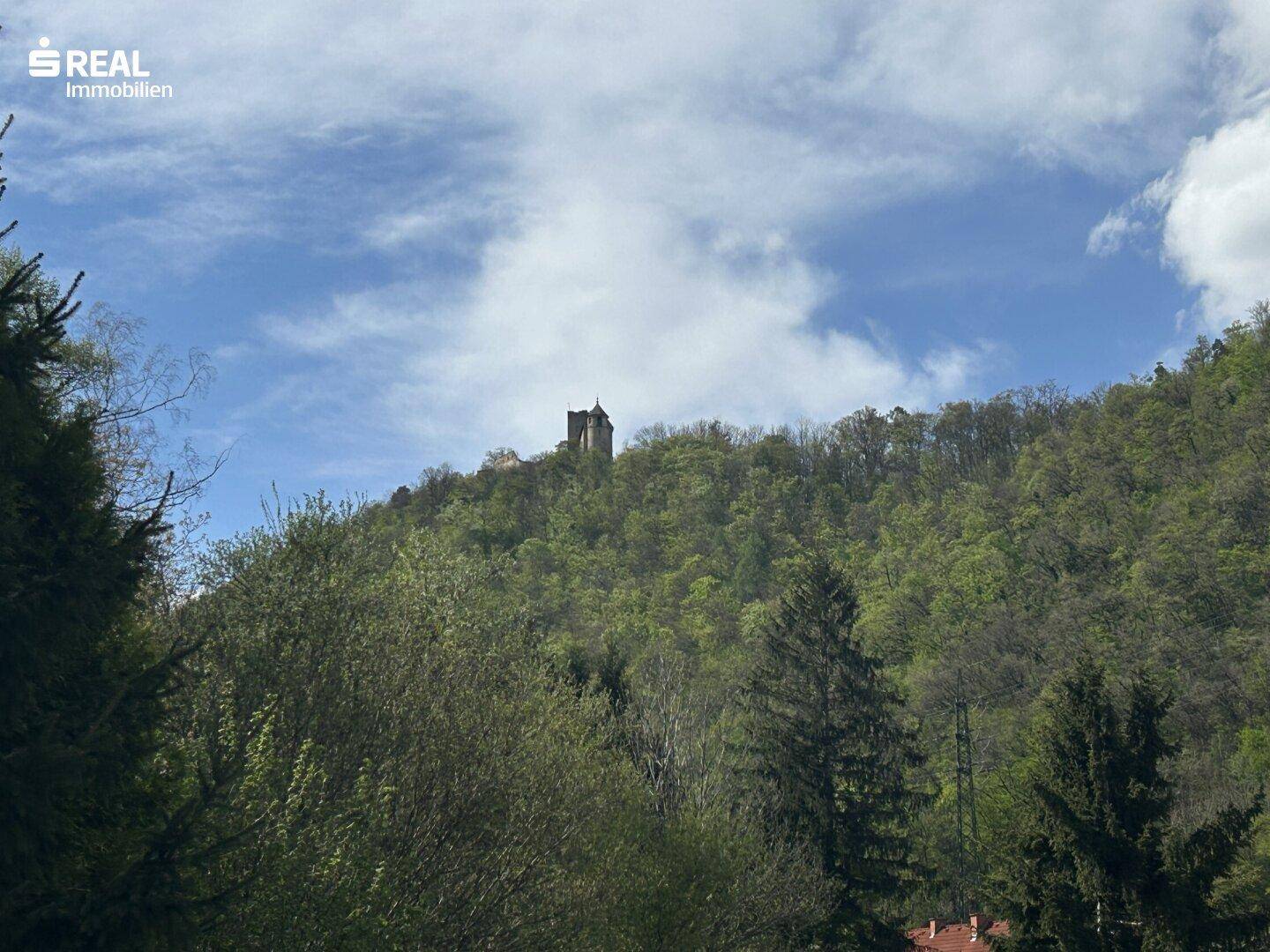 3.040 m² großes Grundstück in 8051 Gösting zu verkaufen - Ansicht 5