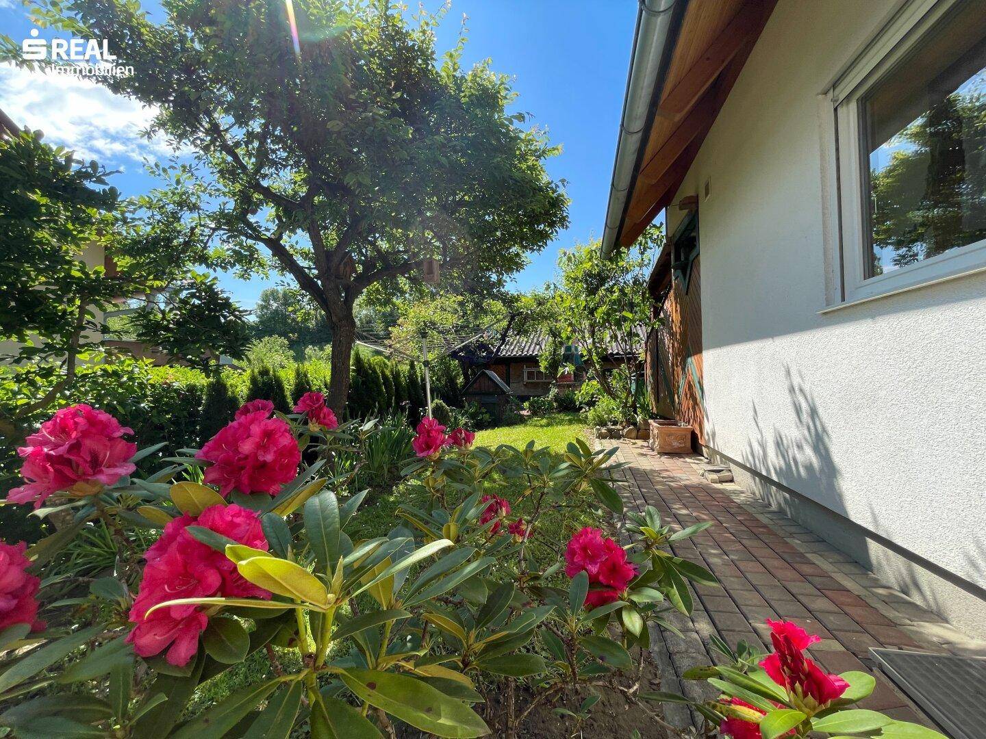 Seitlicher Gartenbereich mit gepflastertem Weg und blühenden Rhododendren, umgeben von viel Grün.