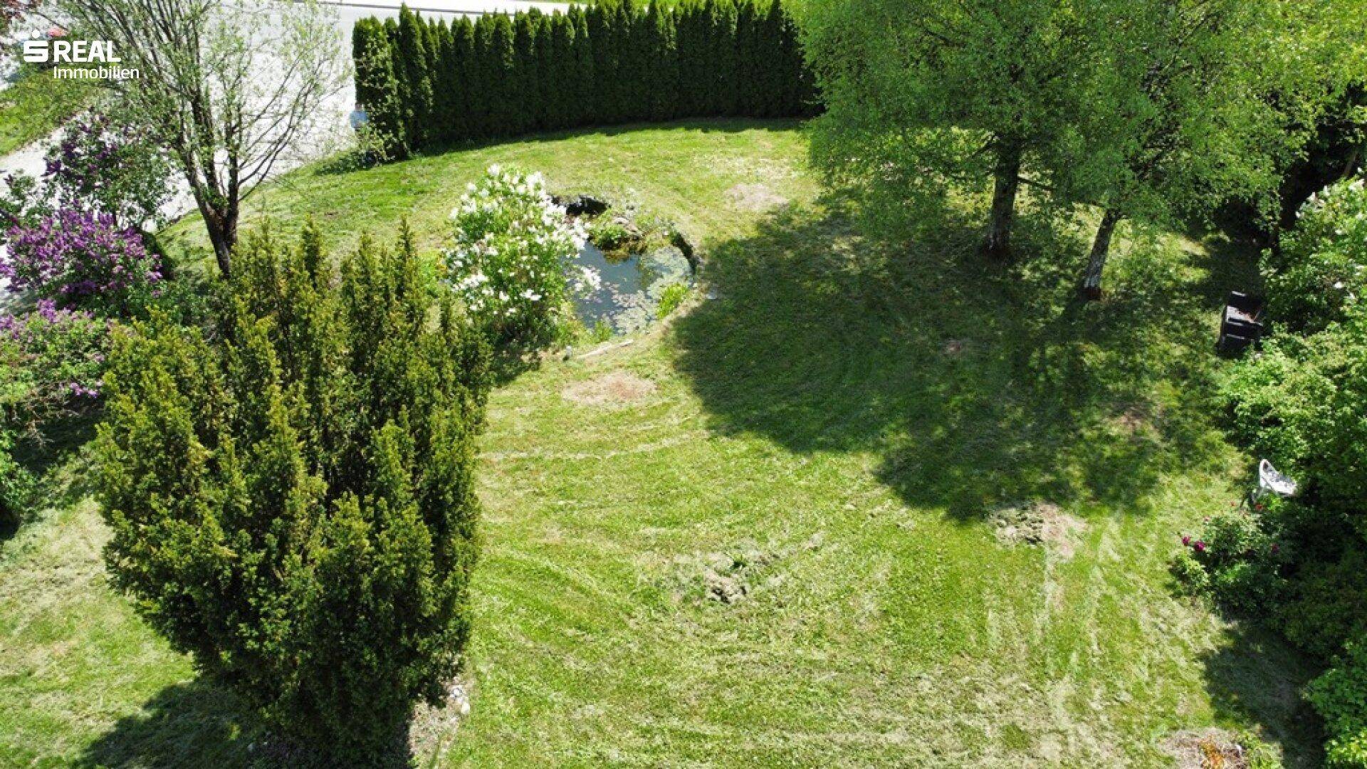 Große, gepflegte Rasenfläche mit Bäumen und einem kleinen Teich in ländlicher Umgebung.